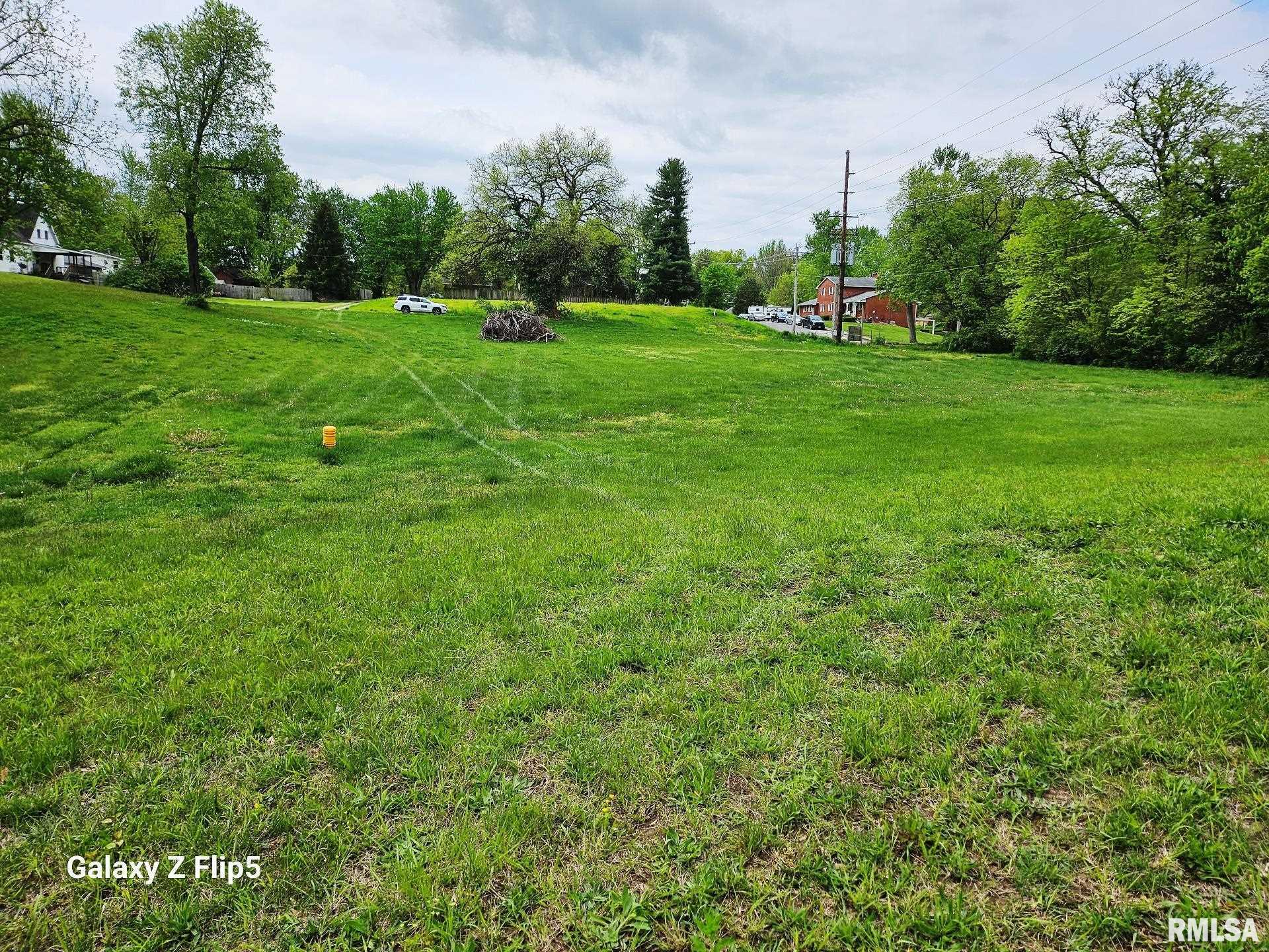 2-4 Ravine Street Carlinville, IL 62626 - Photo 7 of 9