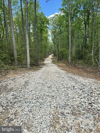 a view of a yard with trees in the background