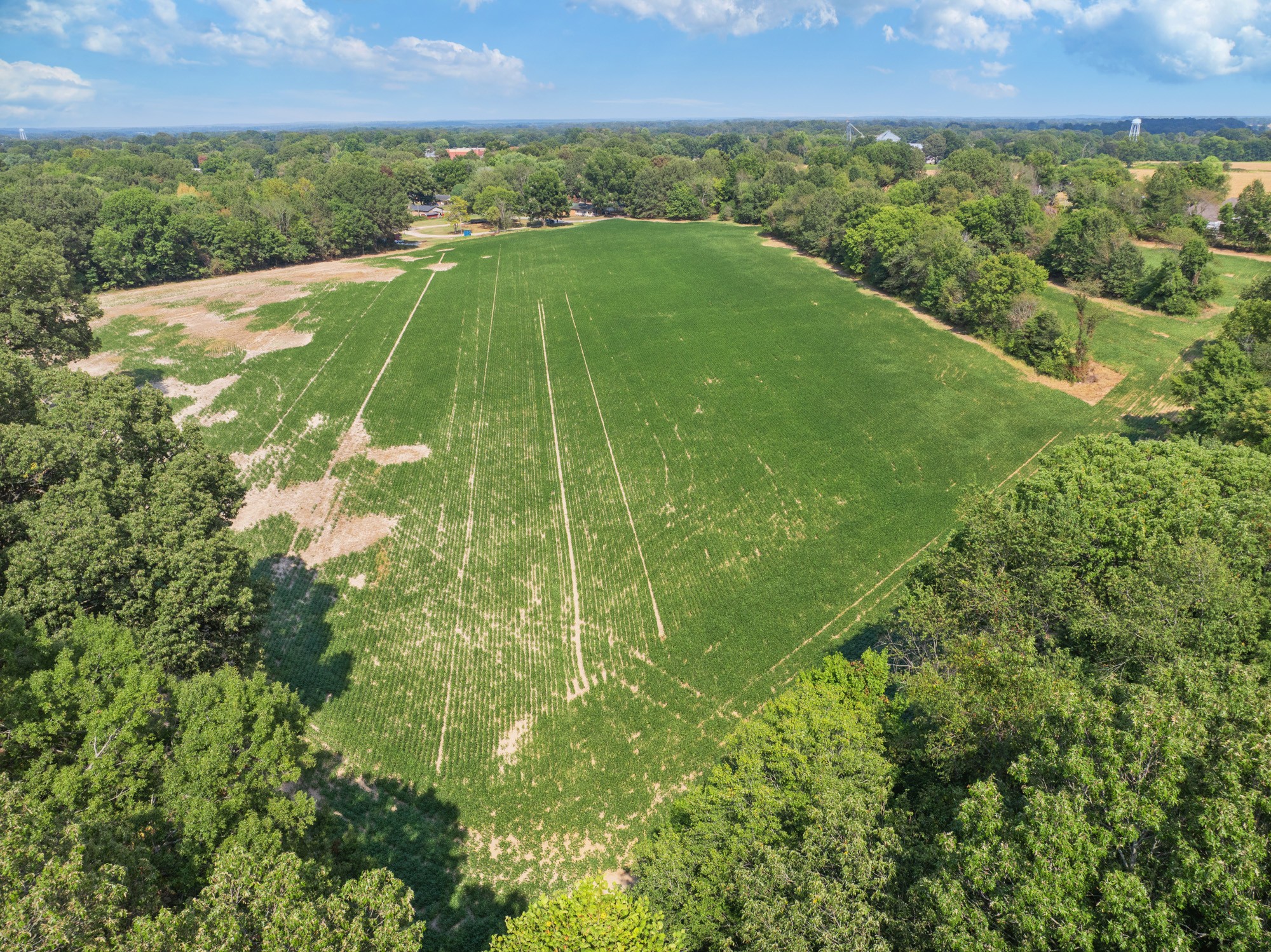 203 Peace And Harmony Road Gleason, TN 38229 - Photo 15 of 24 a view of a field with an ocean