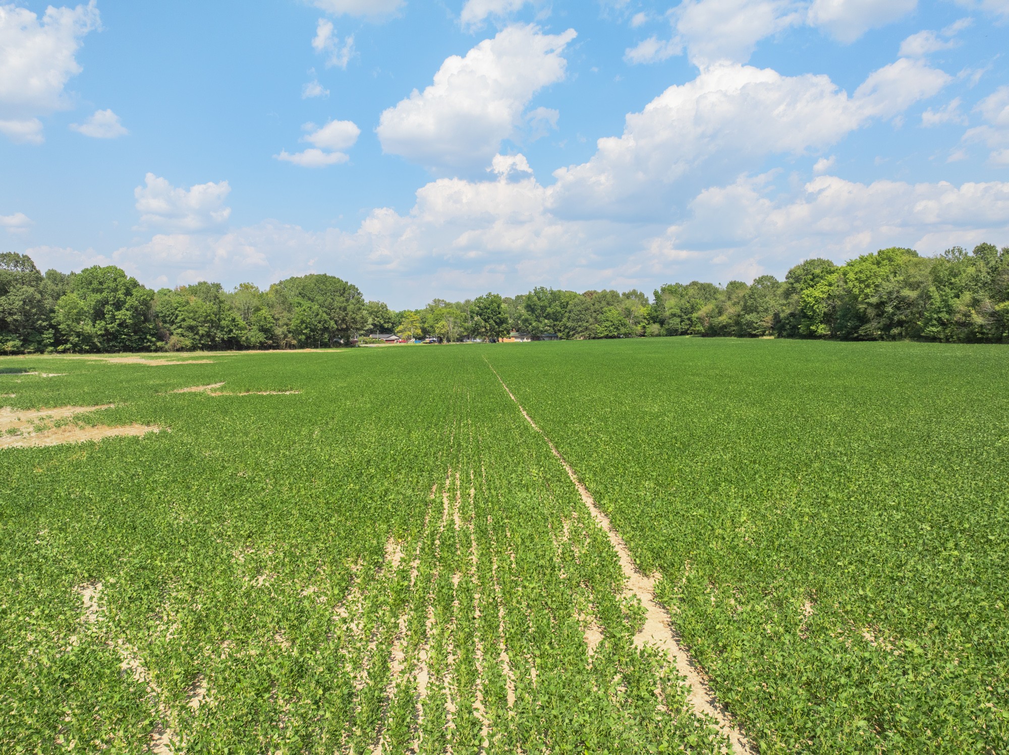 203 Peace And Harmony Road Gleason, TN 38229 - Photo 16 of 24 a view of an outdoor space and deck