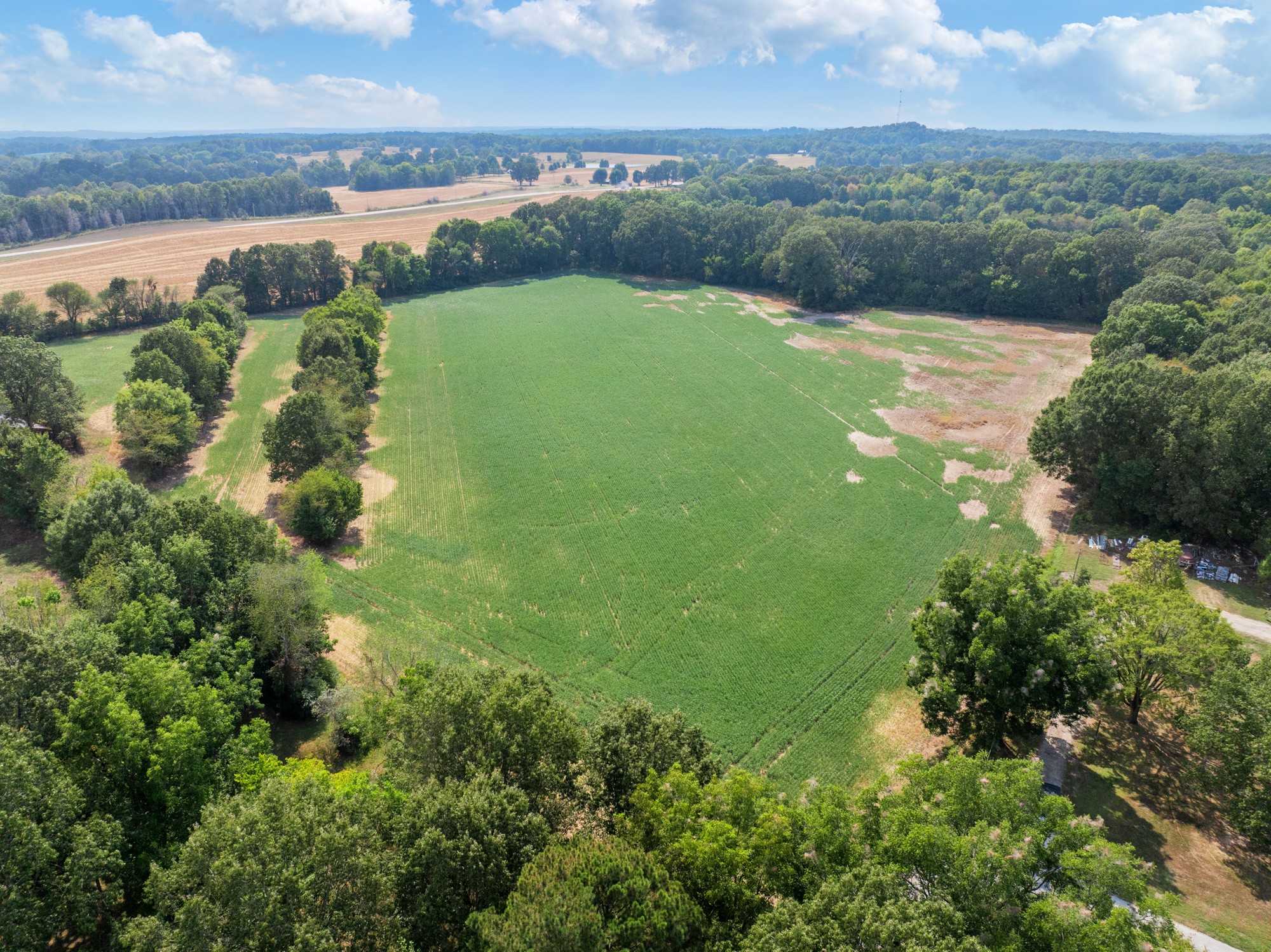 203 Peace And Harmony Road Gleason, TN 38229 - Photo 19 of 24 a view of a lake with a big yard
