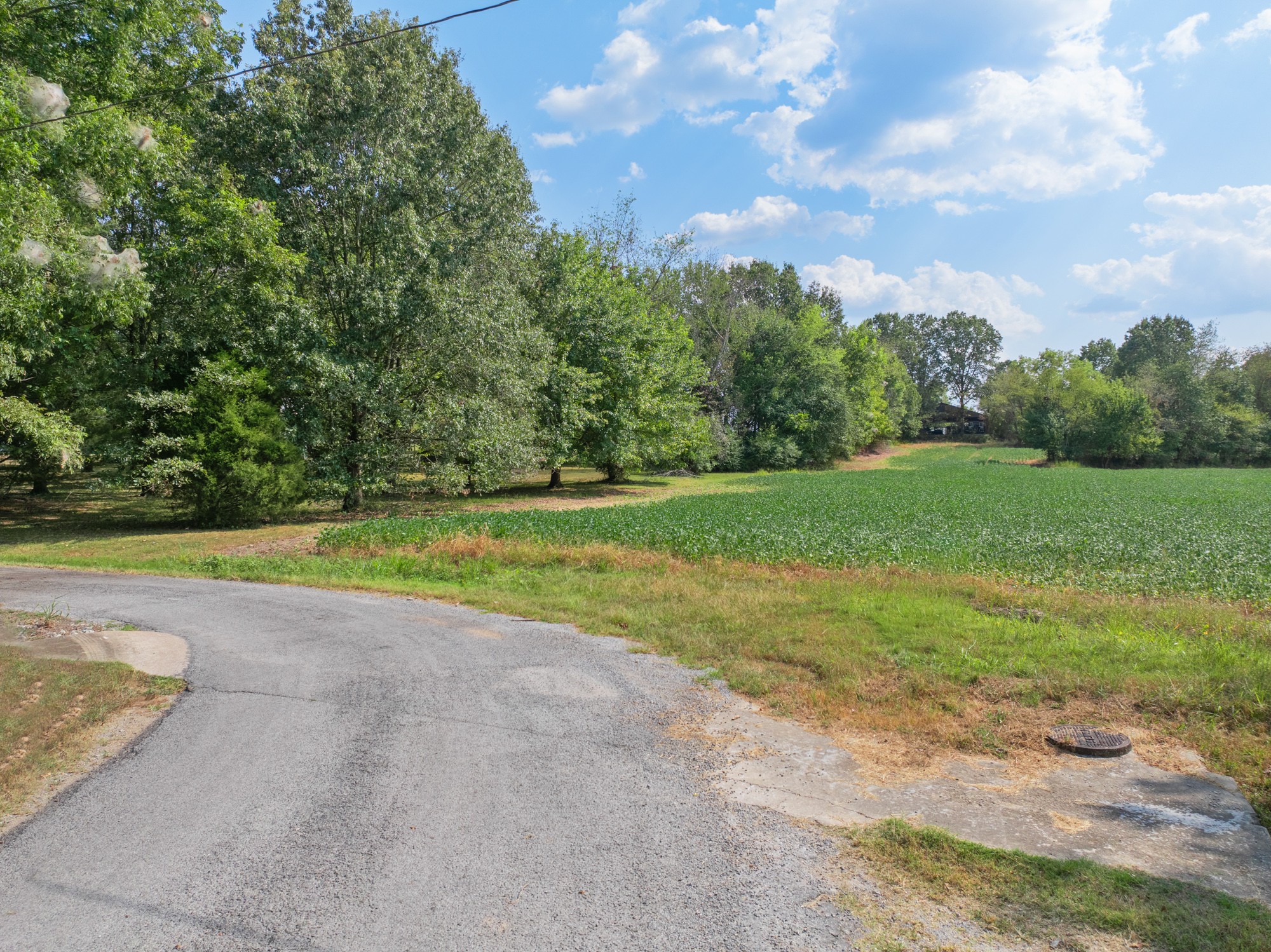 203 Peace And Harmony Road Gleason, TN 38229 - Photo 24 of 24 a view of a yard with a large trees