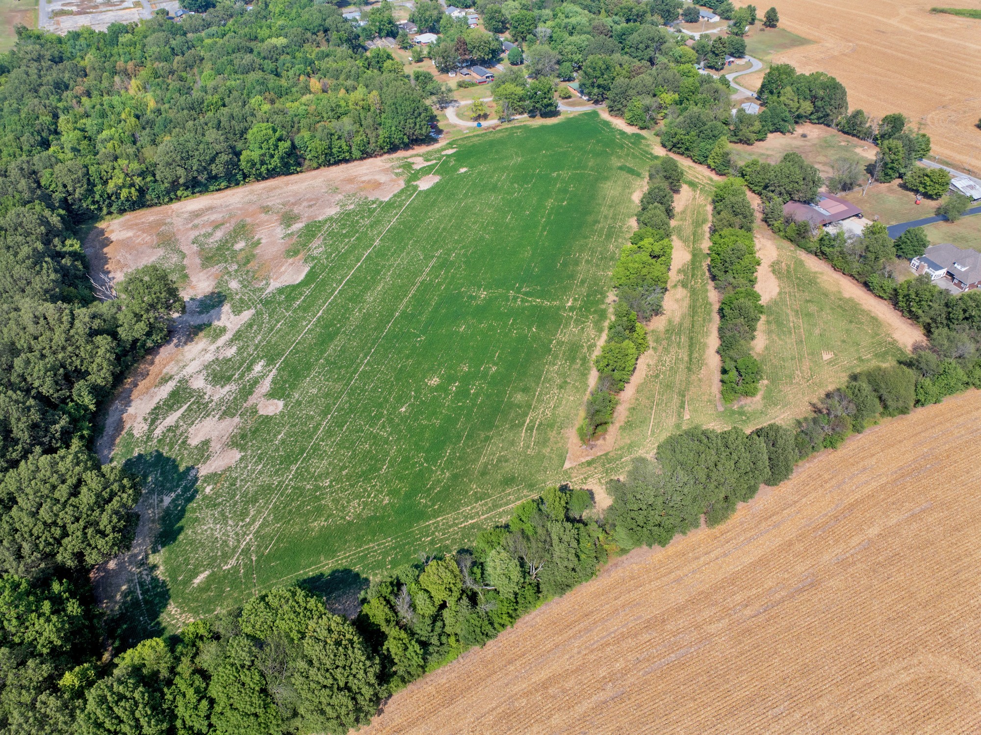 203 Peace And Harmony Road Gleason, TN 38229 - Photo 6 of 24 a view of a garden