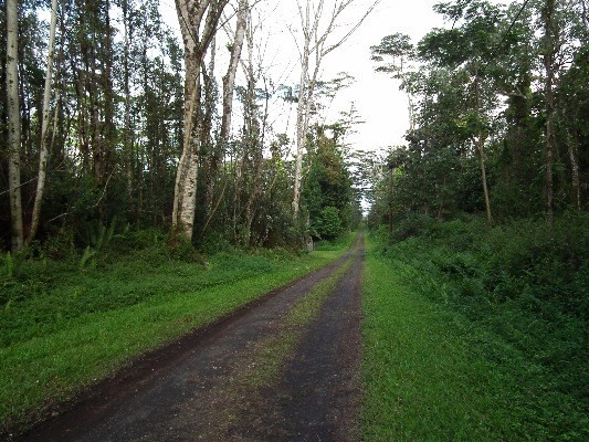 417 Pakalana Road Pahoa, HI 96778 - Photo 2 of 5 Gallery Image 2