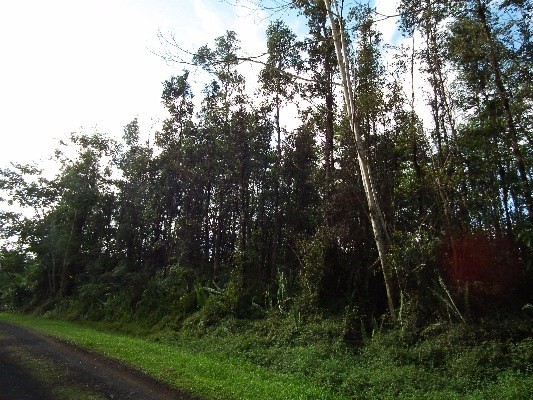 417 Pakalana Road Pahoa, HI 96778 - Photo 3 of 5 Gallery Image 3