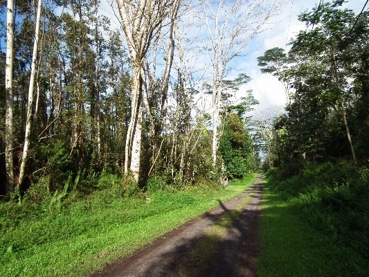 417 Pakalana Road Pahoa, HI 96778 - Photo 5 of 5 Gallery Image 5