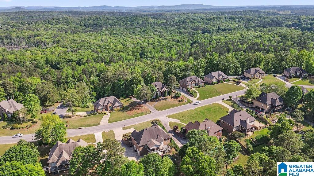 2059 Chelsea Rdg Drive Columbiana, AL 35051 - Photo 64 of 68