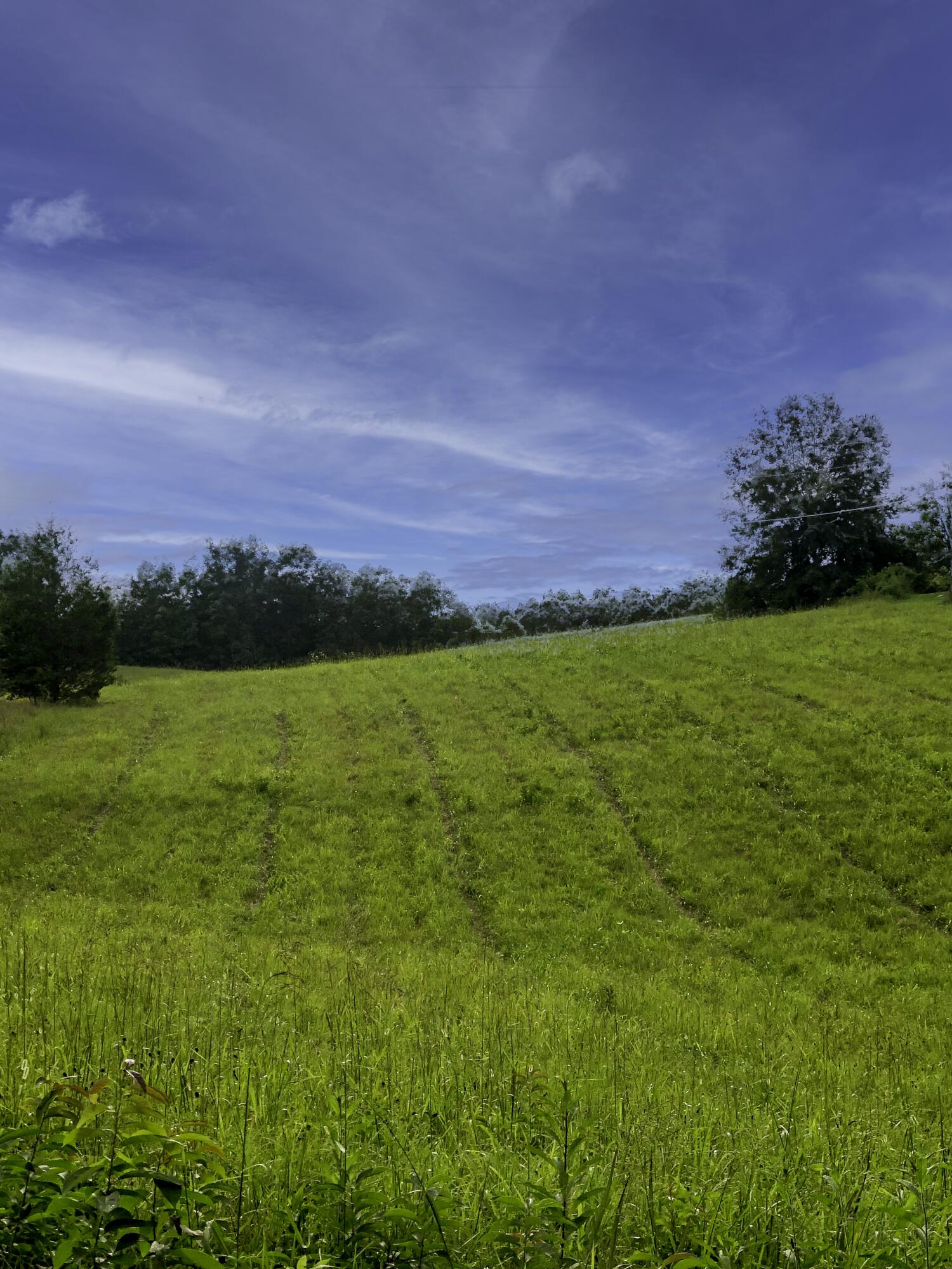 HAGGARD RD copy