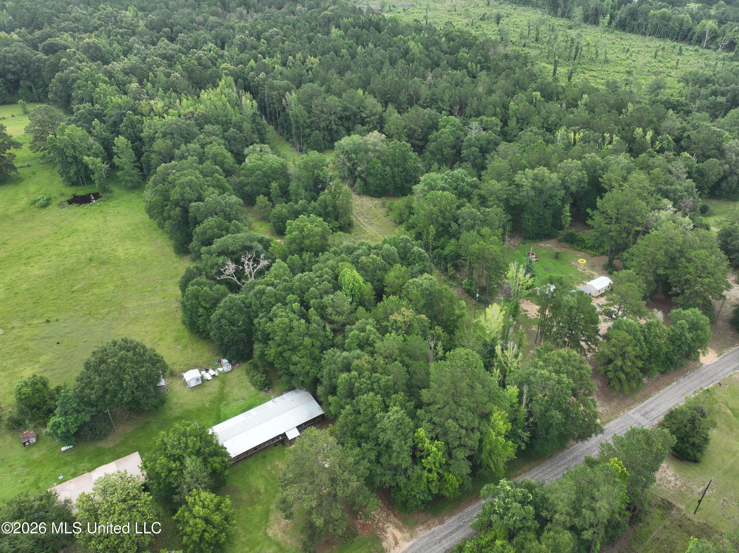 Will Alexander Road Columbia, MS 39429 - Photo 10 of 12 Photo10