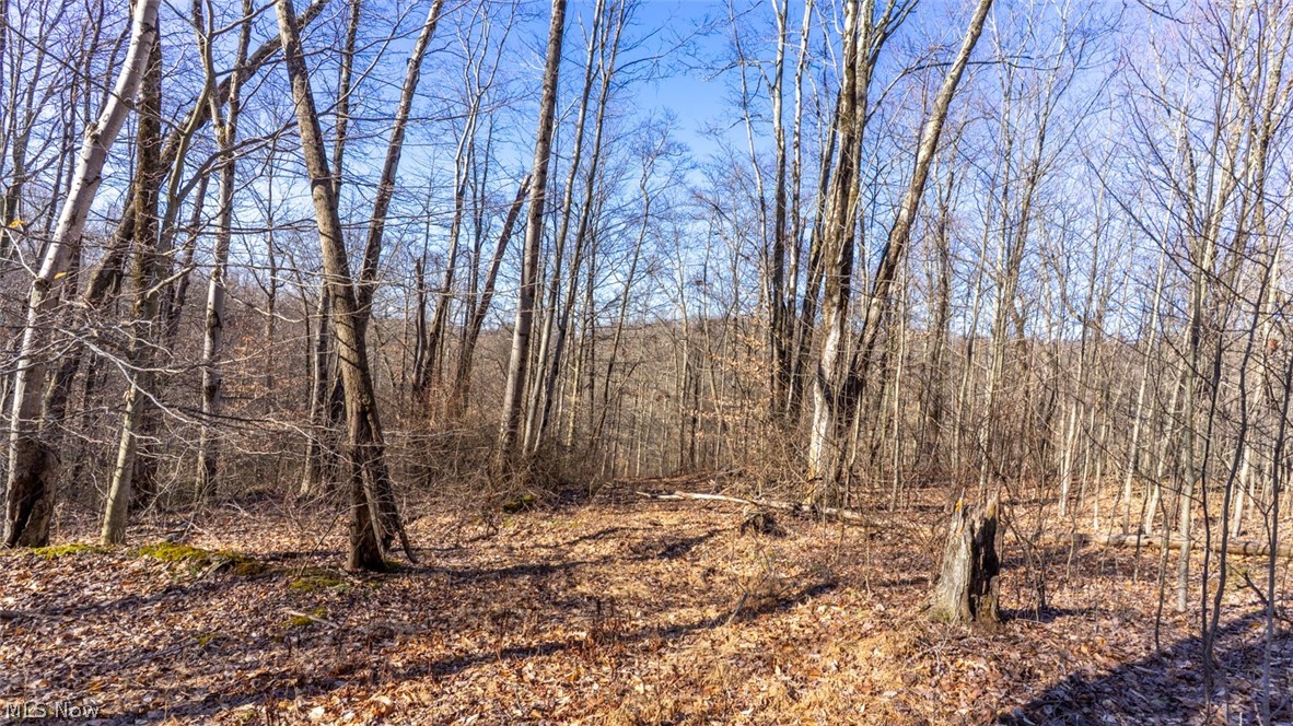 0 Clem Garvin Road Caldwell, OH 43724 - Photo 20 of 50 View of undeveloped land
