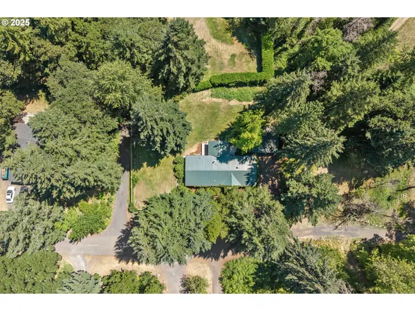 a view of a lush green hillside and houses
