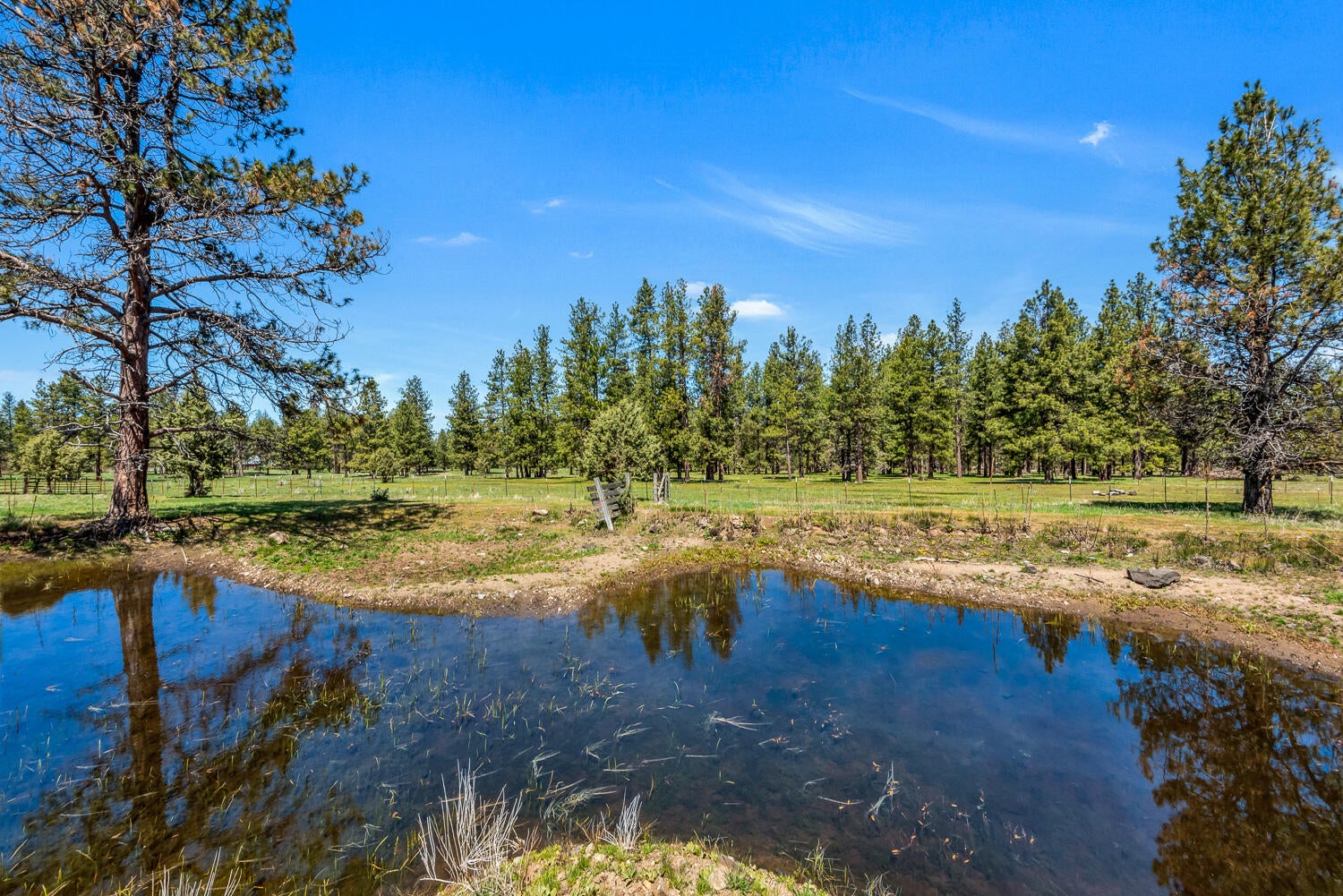 32841 River Bend Road Chiloquin, OR 97624 - Photo 66 of 77 067 Vladic River Ranch