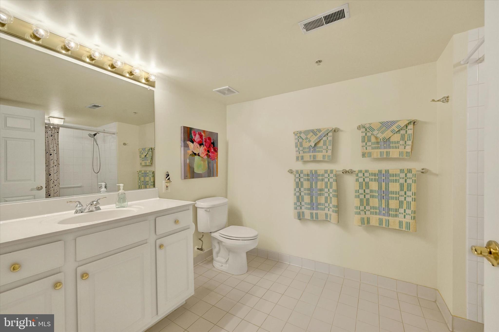 12330 Rosslare Ridge Road, Unit 403 Lutherville-Timonium, MD 21093 - Photo 29 of 33 Spacious hall bath