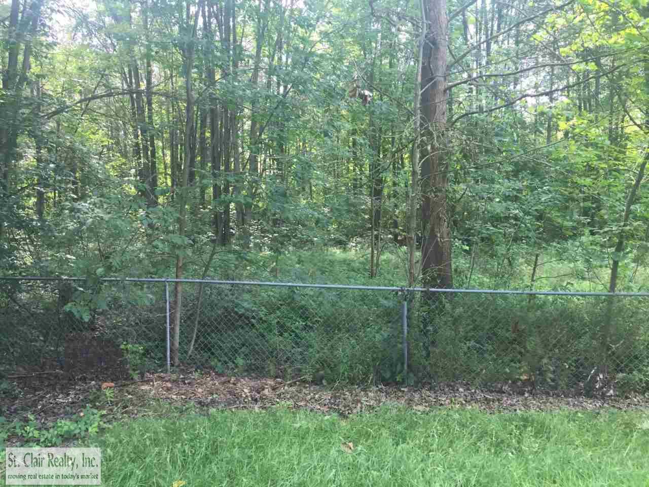 Trumble Road St. Clair, MI 48079 - Photo 4 of 5