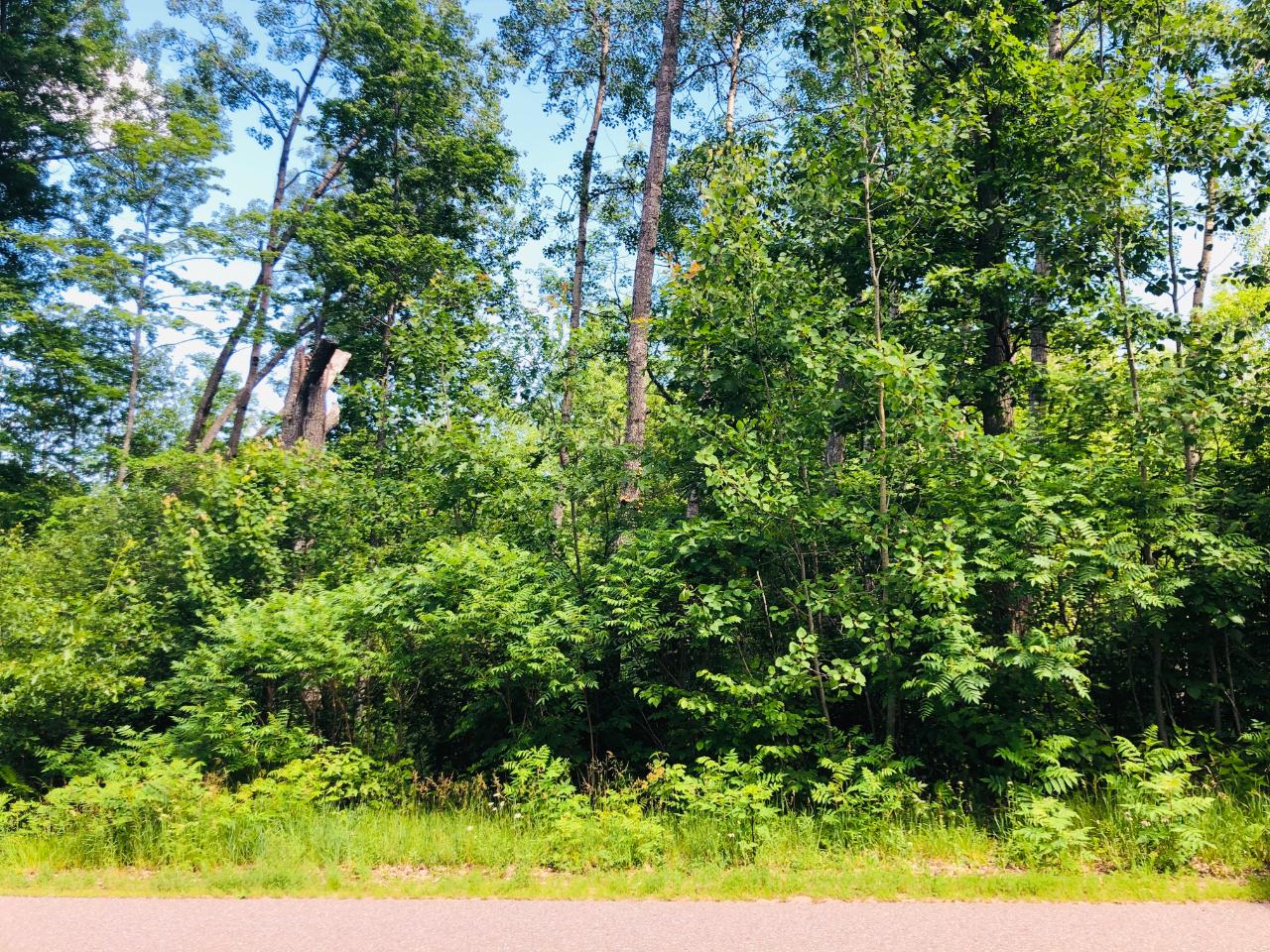 Lot #2 Back Bay Road Minocqua, WI 54548 - Photo 4 of 12 Gallery Image 4