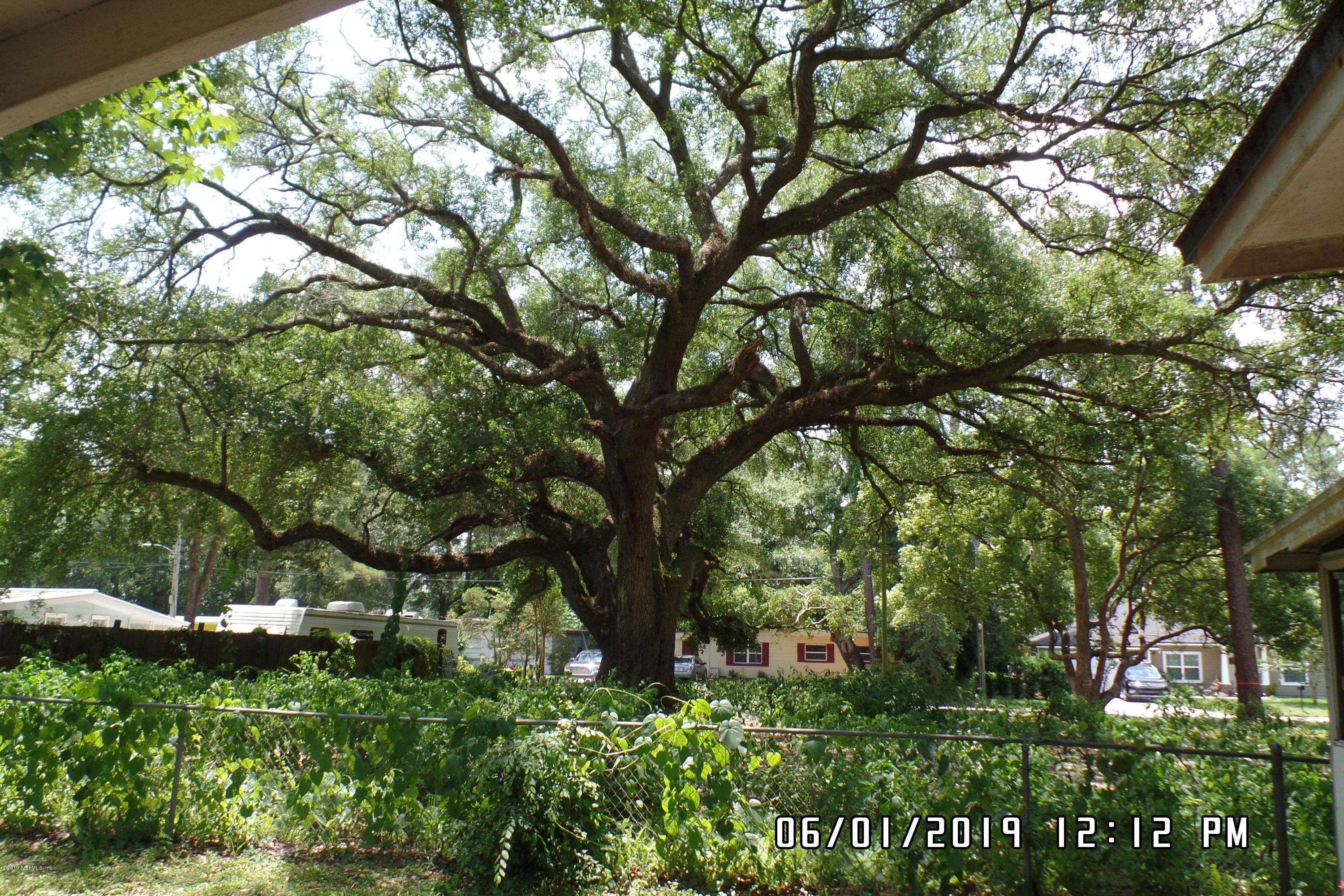 2925 Kent Road Jacksonville, FL 32216 - Photo 24 of 24 a backyard of a house with lots of green space