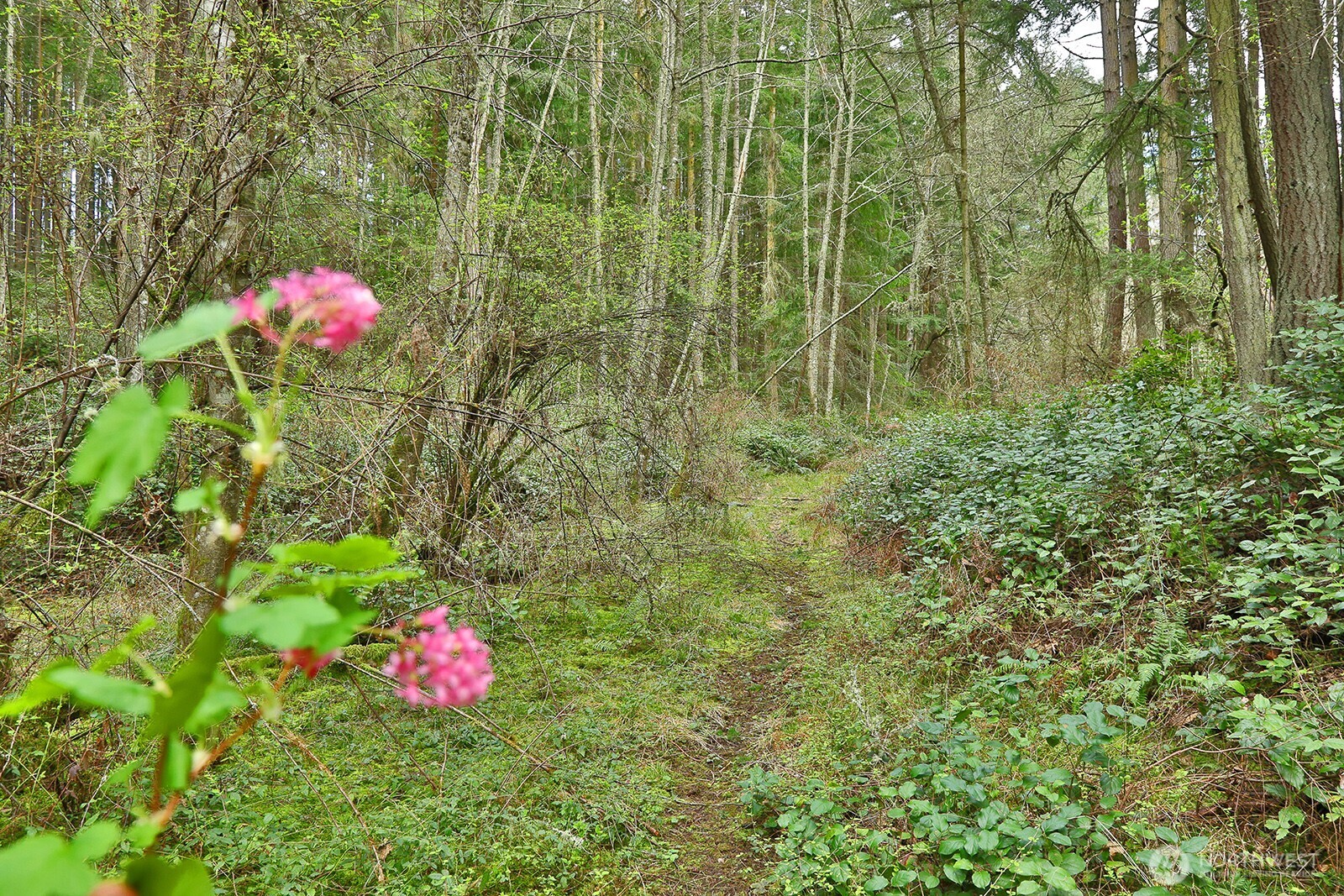 -xxx Mutiny Bay Road Freeland, WA 98249 - Photo 11 of 27 a bathroom with a sink and mirror