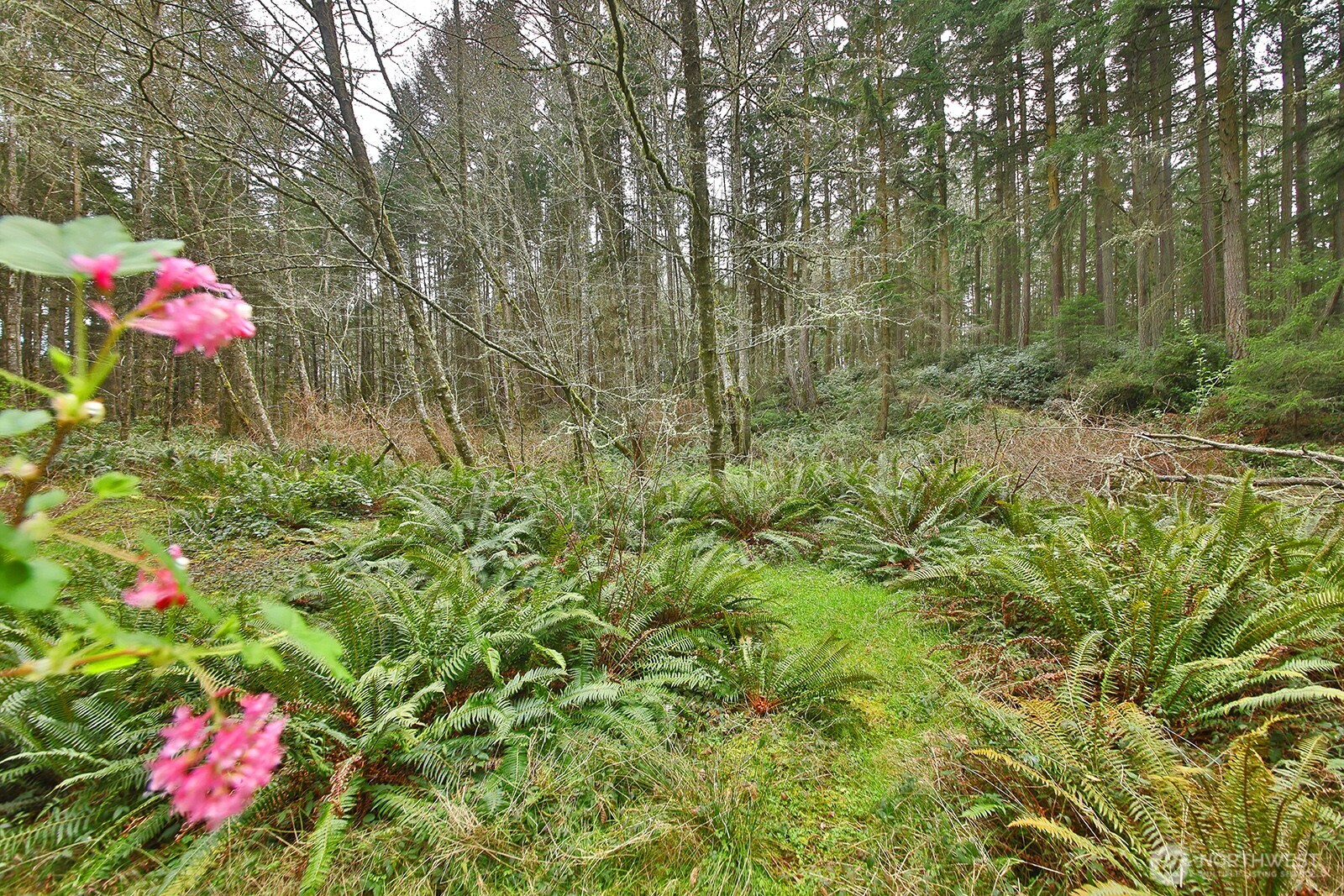 -xxx Mutiny Bay Road Freeland, WA 98249 - Photo 12 of 27