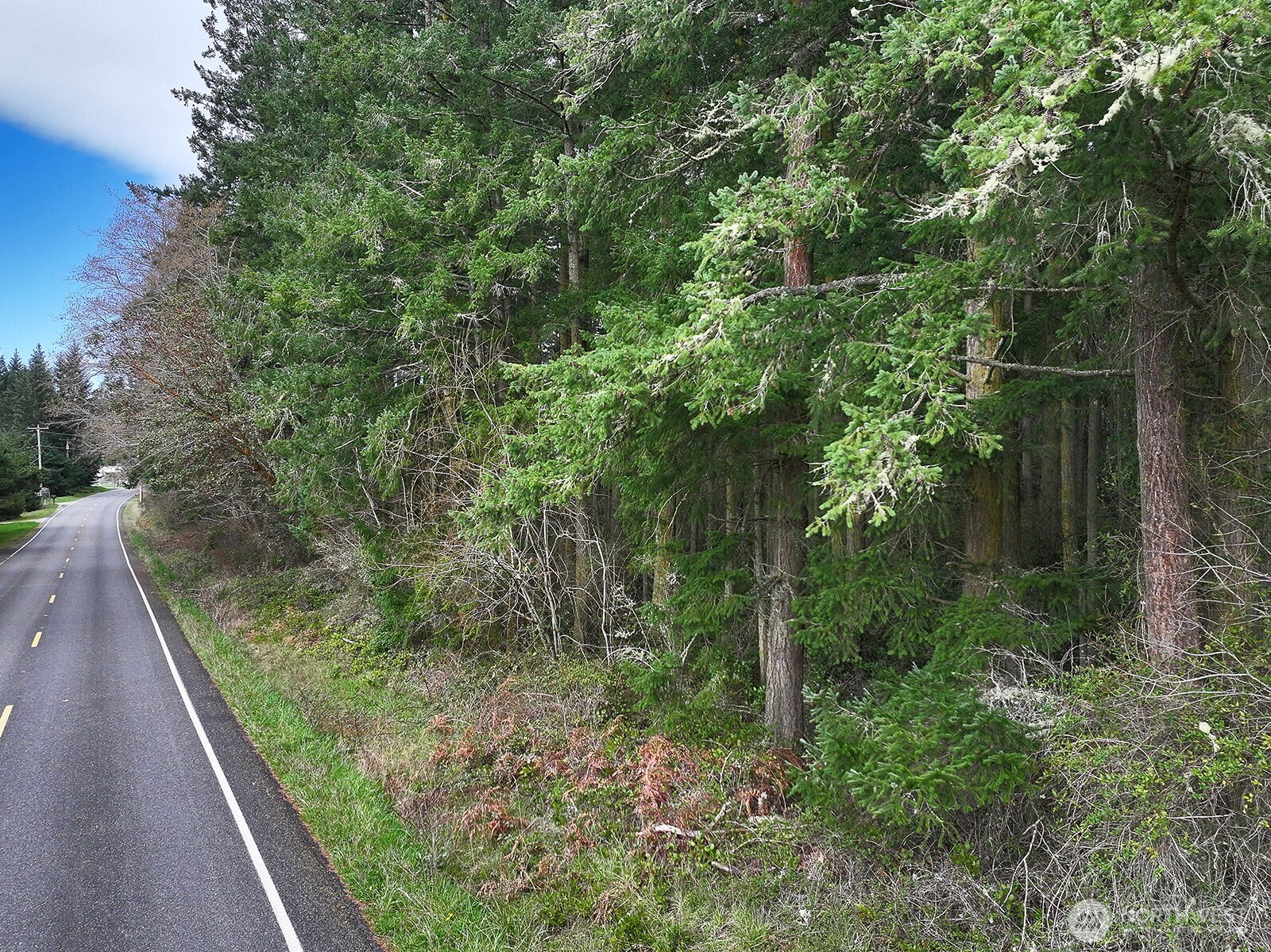 -xxx Mutiny Bay Road Freeland, WA 98249 - Photo 16 of 27 a view of a yard with plants and a bench