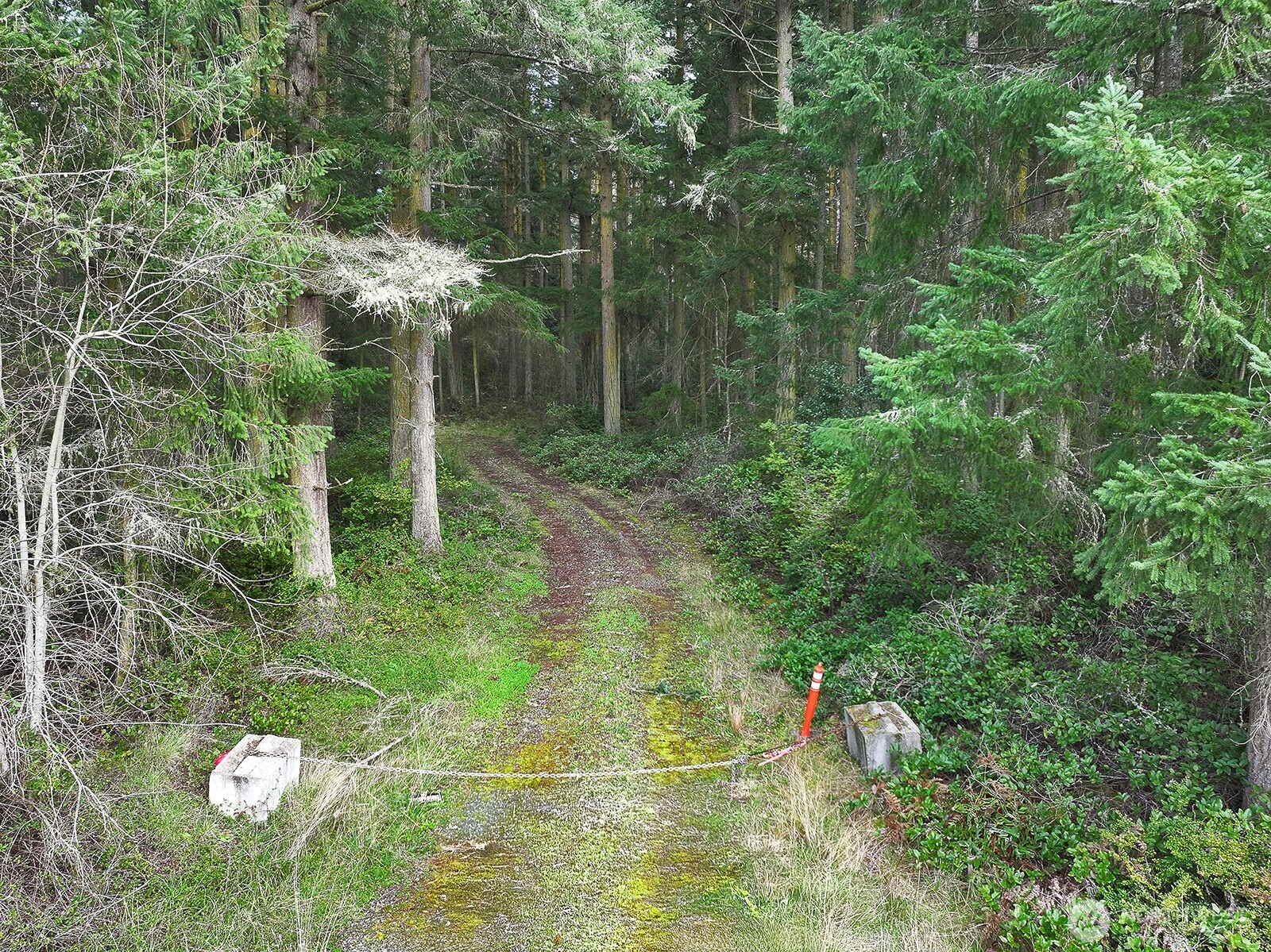-xxx Mutiny Bay Road Freeland, WA 98249 - Photo 17 of 27 a view of a wooden house and a yard