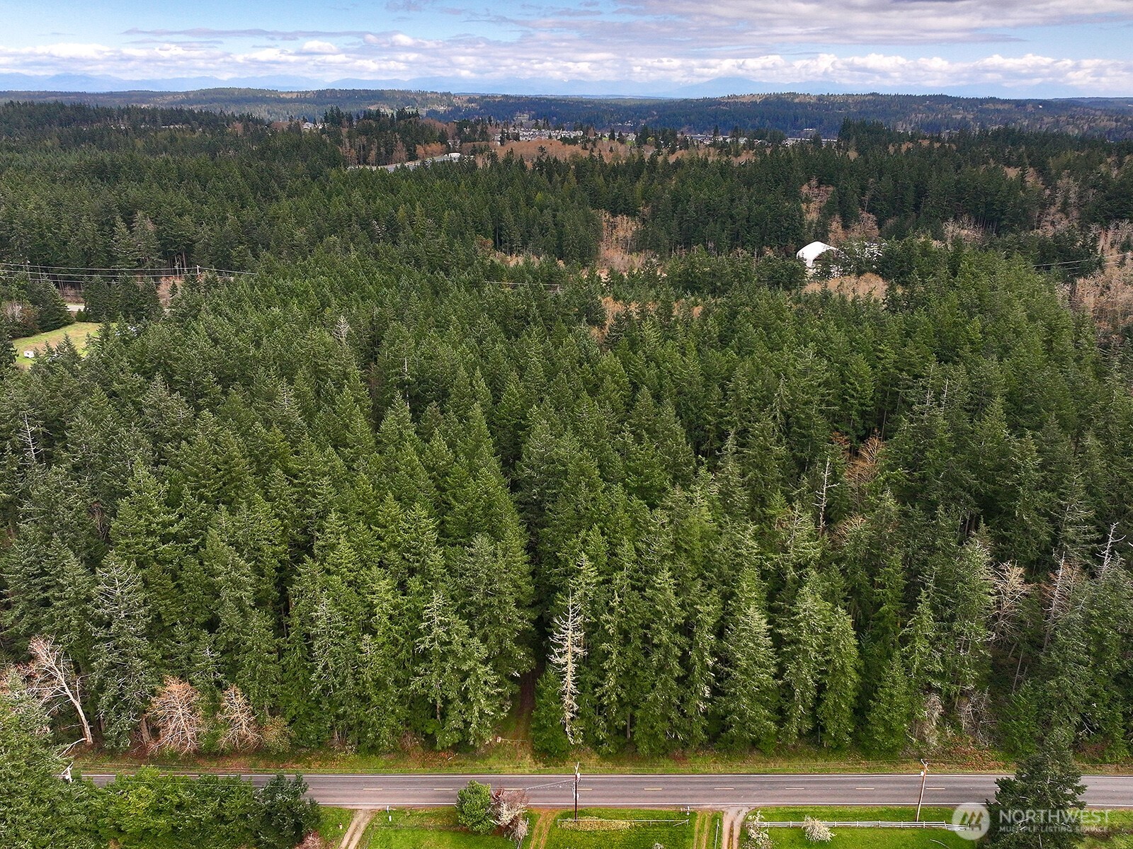 -xxx Mutiny Bay Road Freeland, WA 98249 - Photo 20 of 27 a view of a city with lush green forest