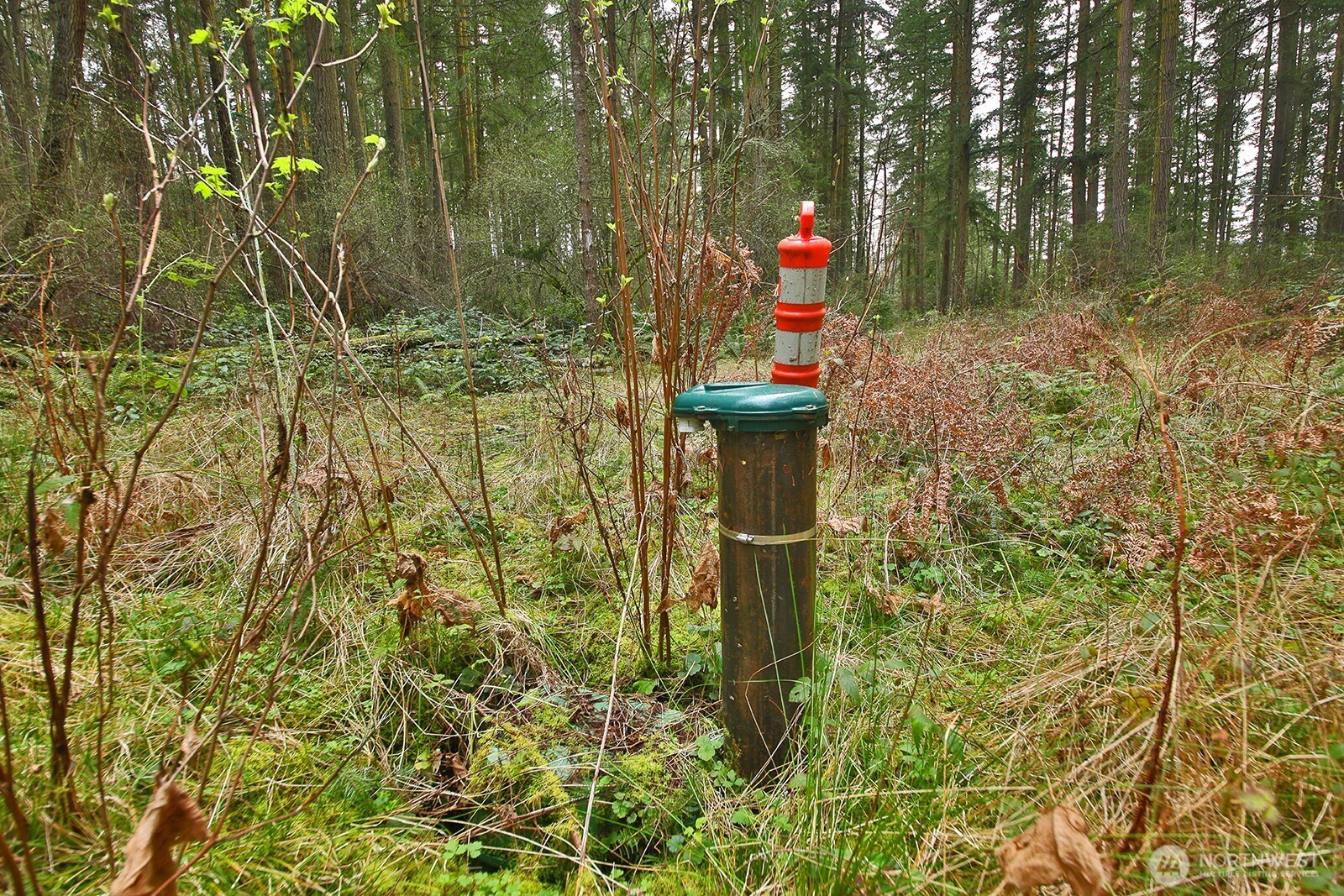 -xxx Mutiny Bay Road Freeland, WA 98249 - Photo 3 of 27 a backyard of a house with table and chairs and potted plants