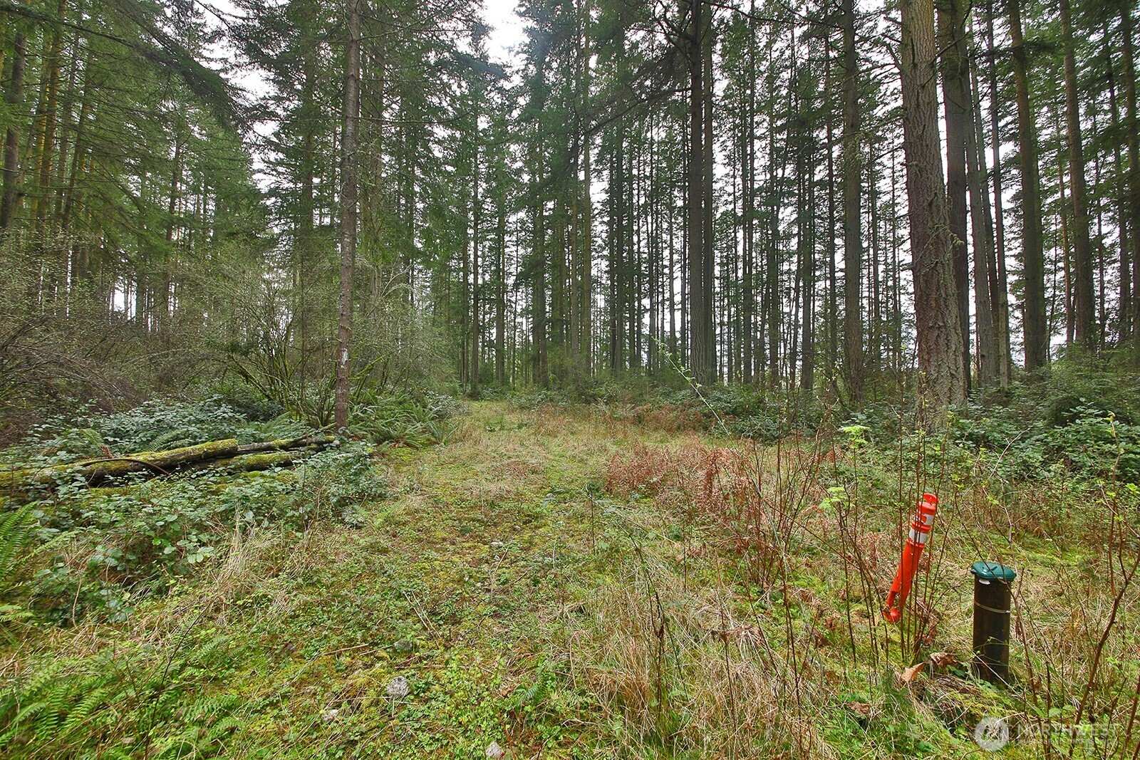 -xxx Mutiny Bay Road Freeland, WA 98249 - Photo 4 of 27 a view of outdoor space and a yard