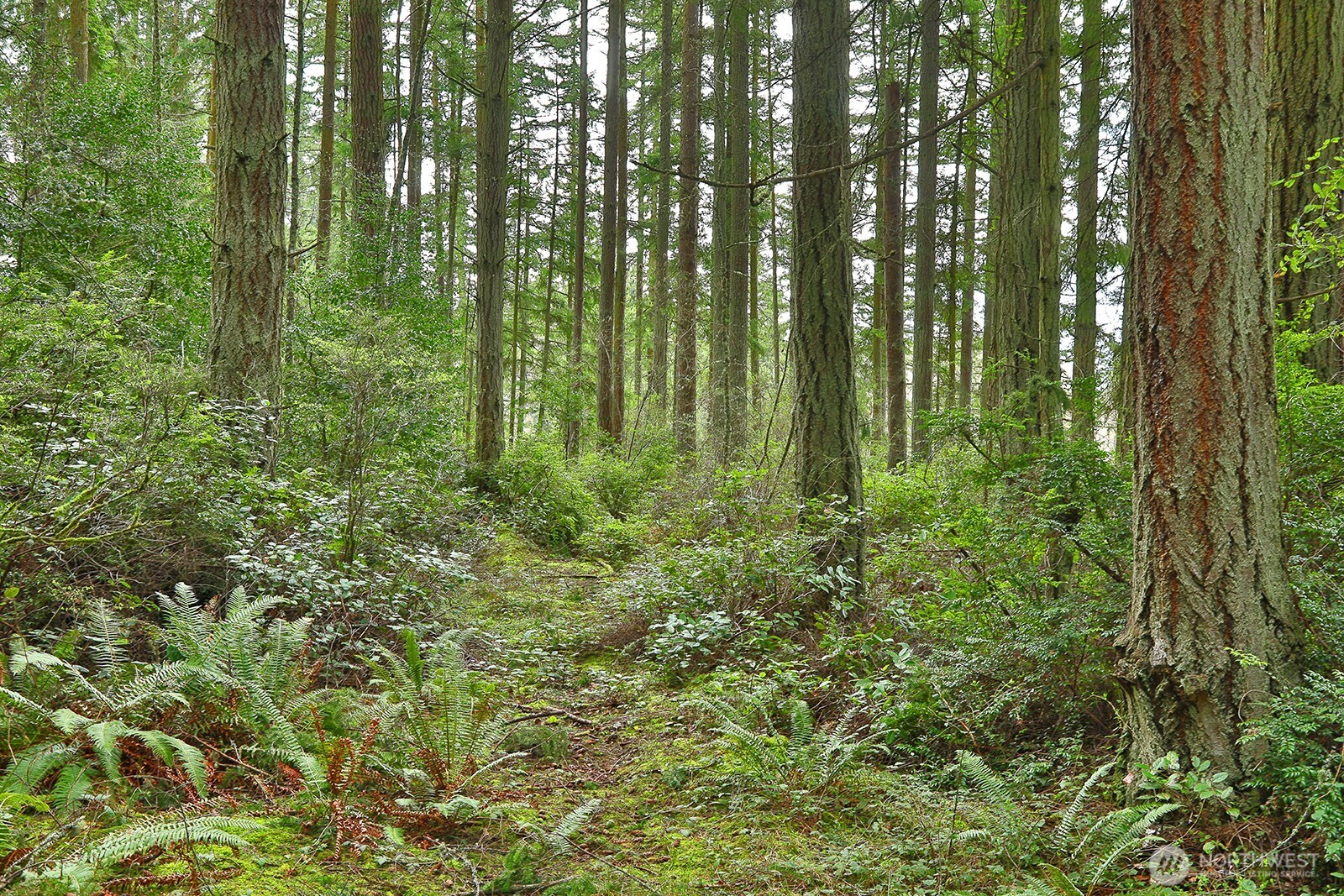 -xxx Mutiny Bay Road Freeland, WA 98249 - Photo 5 of 27