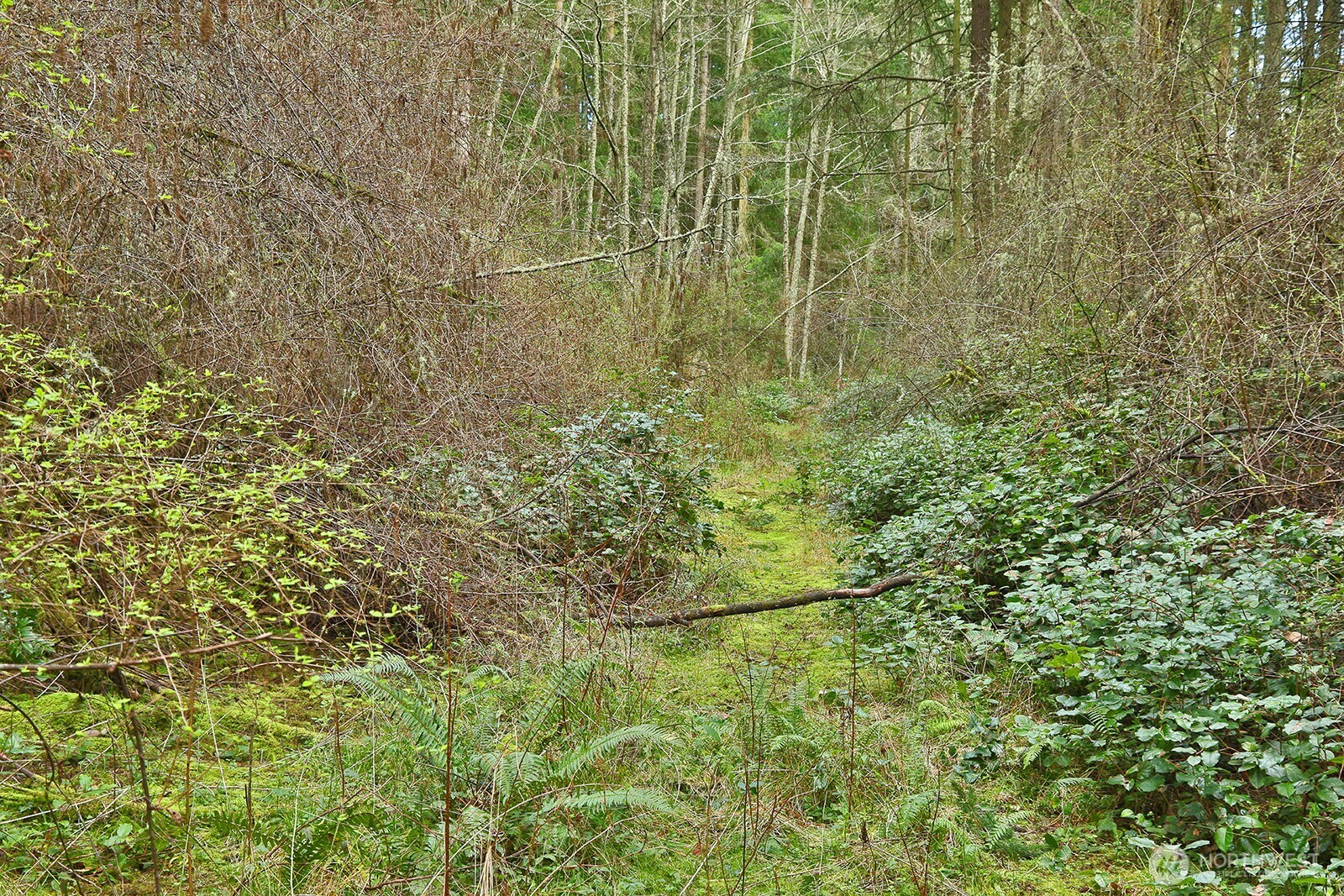 -xxx Mutiny Bay Road Freeland, WA 98249 - Photo 10 of 27 a bathroom with a shower
