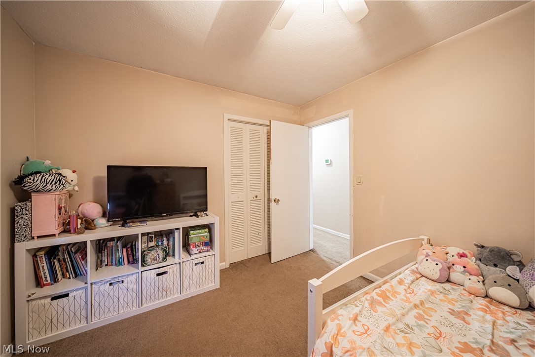 1131 Doyle Road Jefferson, OH 44047 - Photo 11 of 34 Gallery Image 11