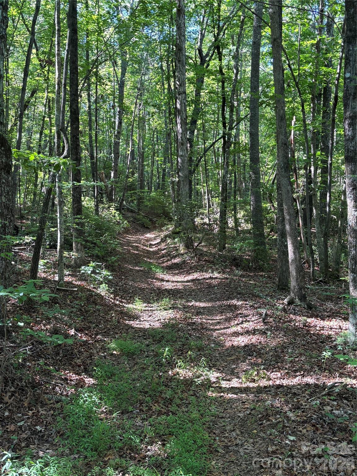 0 Stillwater Road Boomer, NC 28606 - Photo 29 of 33