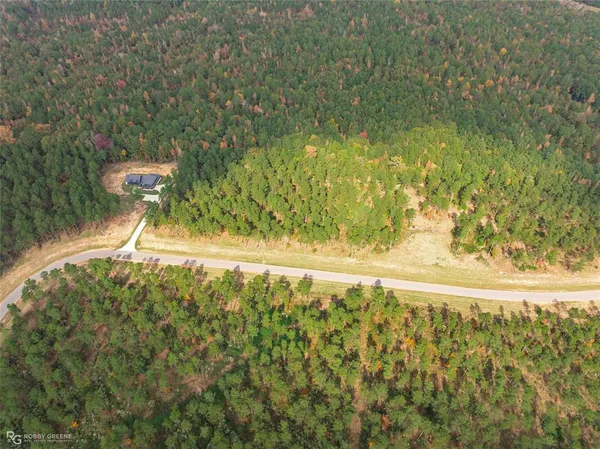 an aerial view of residential houses with outdoor space and trees