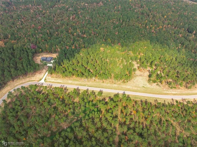 an aerial view of residential houses with outdoor space and trees