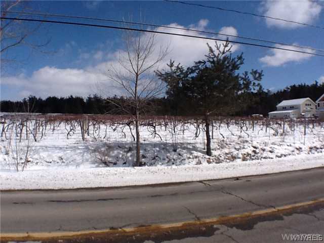 0 Jennings Road Eden, NY 14057 - Photo 1 of 1 Land/Lot