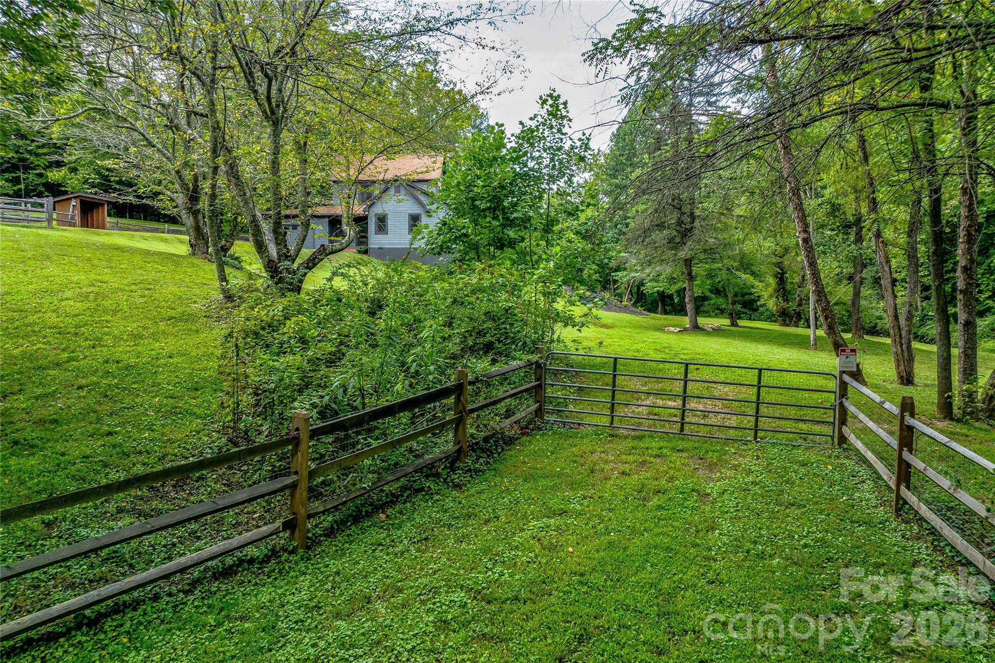 48 Merrell Road Leicester, NC 28748 - Photo 21 of 28 a view of a park with large trees
