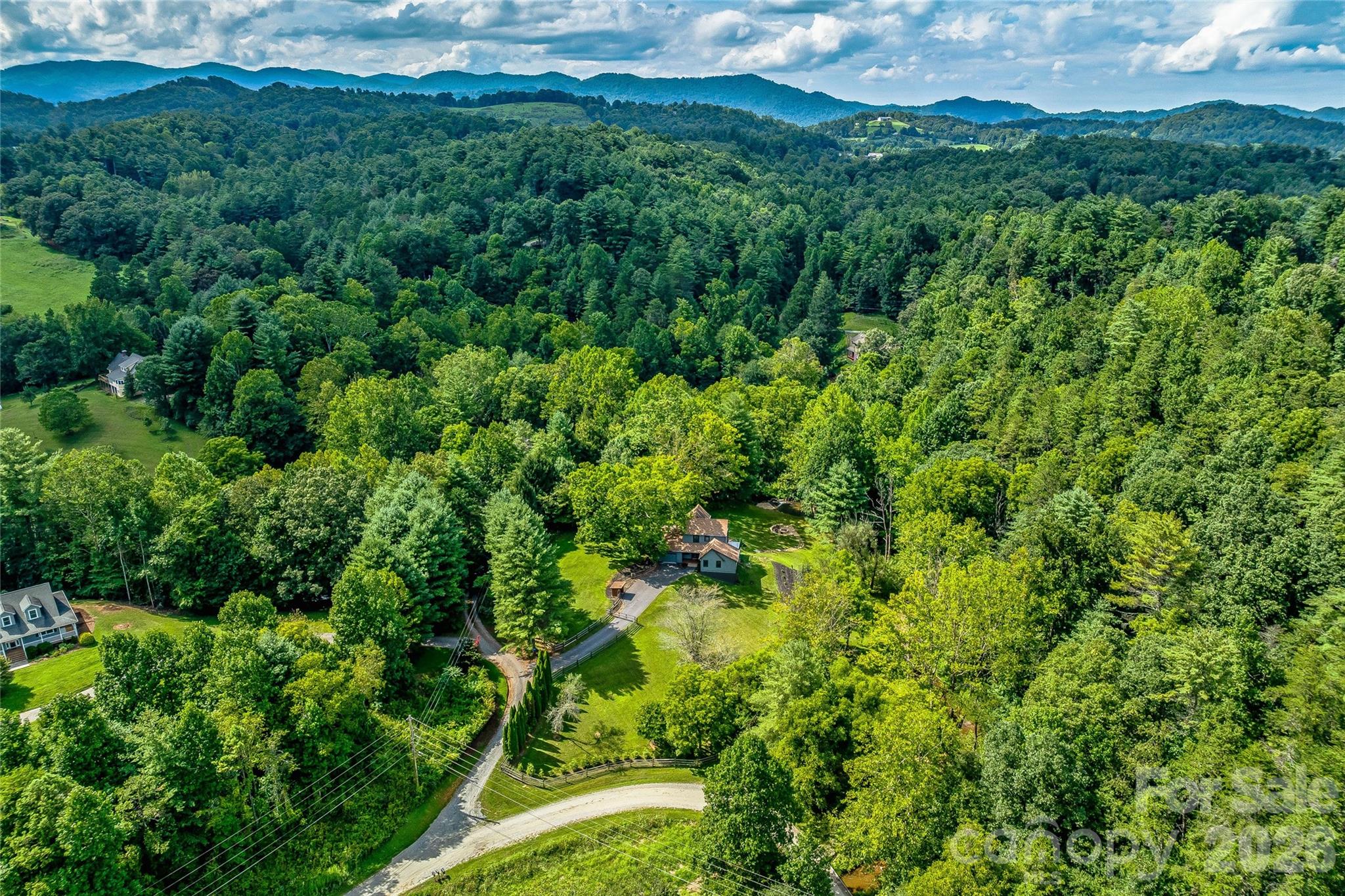 48 Merrell Road Leicester, NC 28748 - Photo 26 of 28 a view of a lush green forest