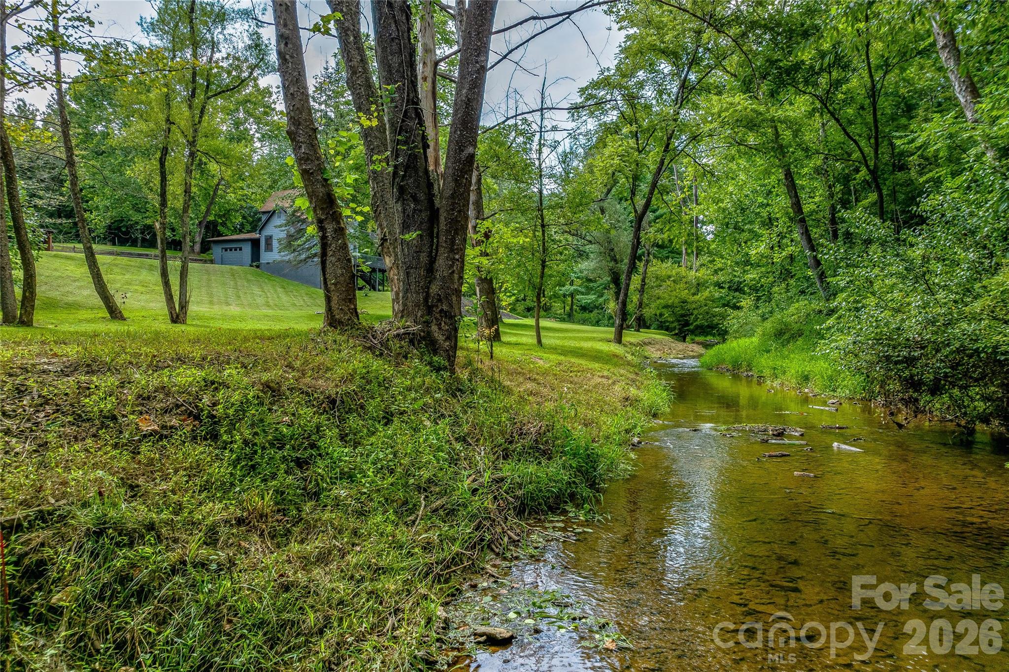 48 Merrell Road Leicester, NC 28748 - Photo 6 of 28 a view of a park with a tree