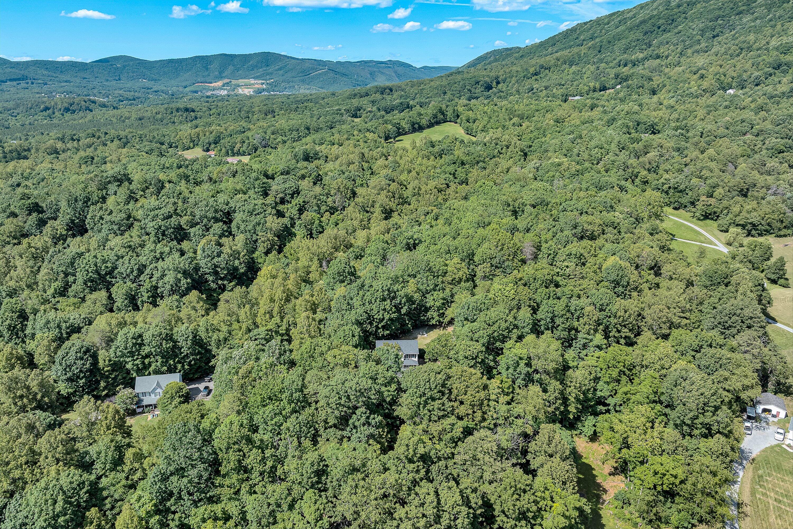1067 Archway Road Blue Ridge, VA 24064 - Photo 42 of 44 44-VM-0833