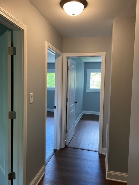 7 Treebark Court Schaumburg, IL 60193 - Photo 16 of 29 an empty room with wooden floor mirror and windows