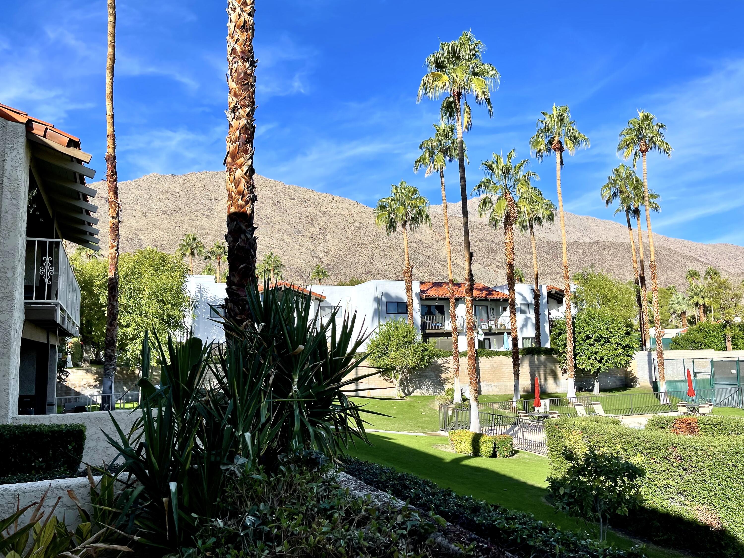 310 East San Jose Road, Unit 110 Palm Springs, CA 92264 - Photo 27 of 34 a view of a swimming pool with a yard