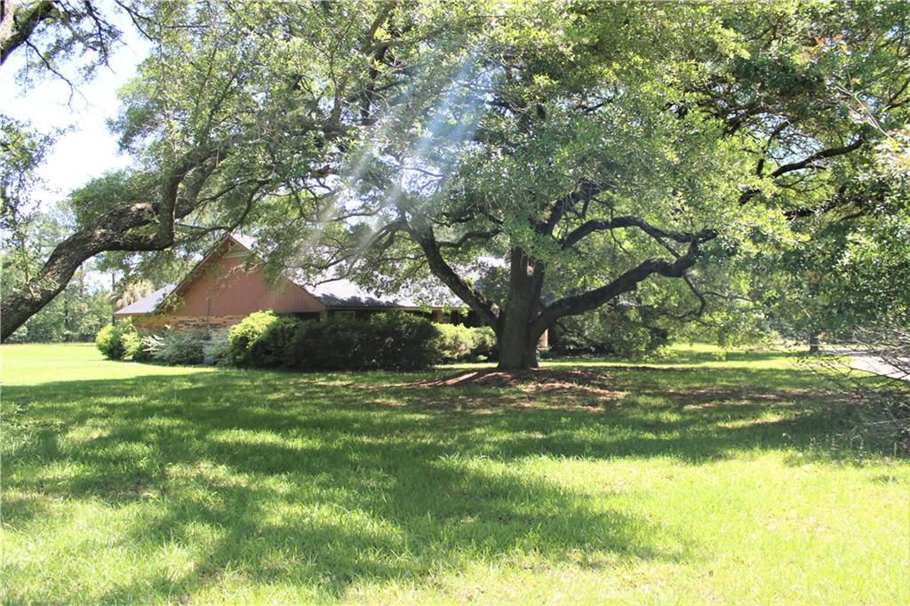 7001 Springhill Road Pollock, LA 71467 - Photo 6 of 47 Gallery Image 6