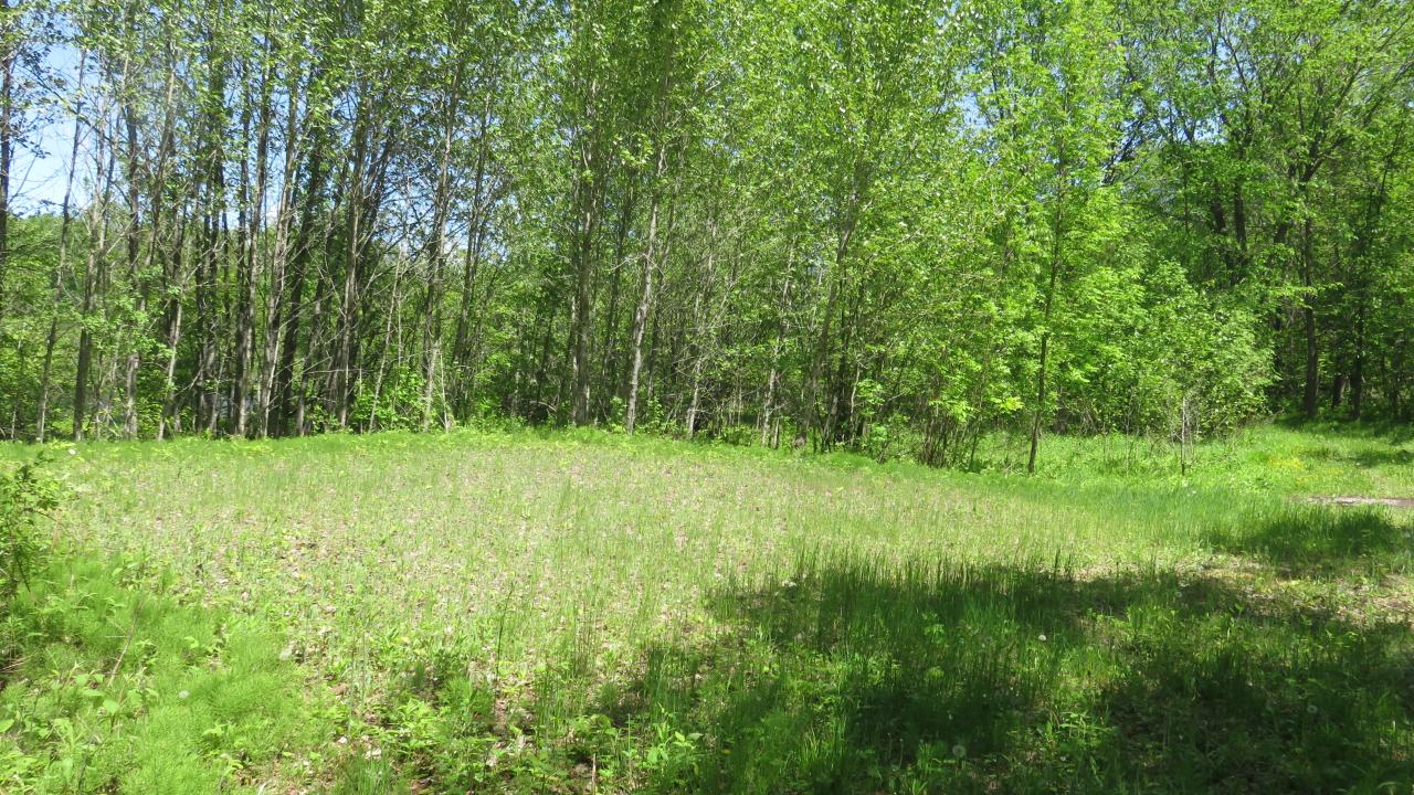 Lot On Townsite Road Presque Isle, WI 54557 - Photo 11 of 36 Gallery Image 11