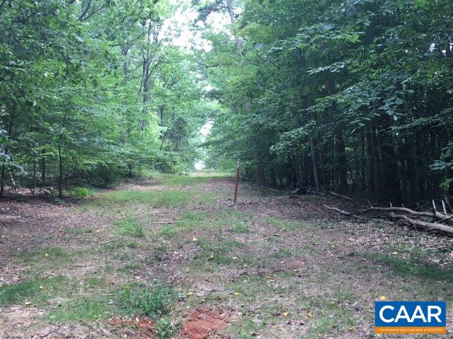 Ridge Road Charlottesville, VA 22901 - Photo 3 of 4 a view of a forest with trees in the background