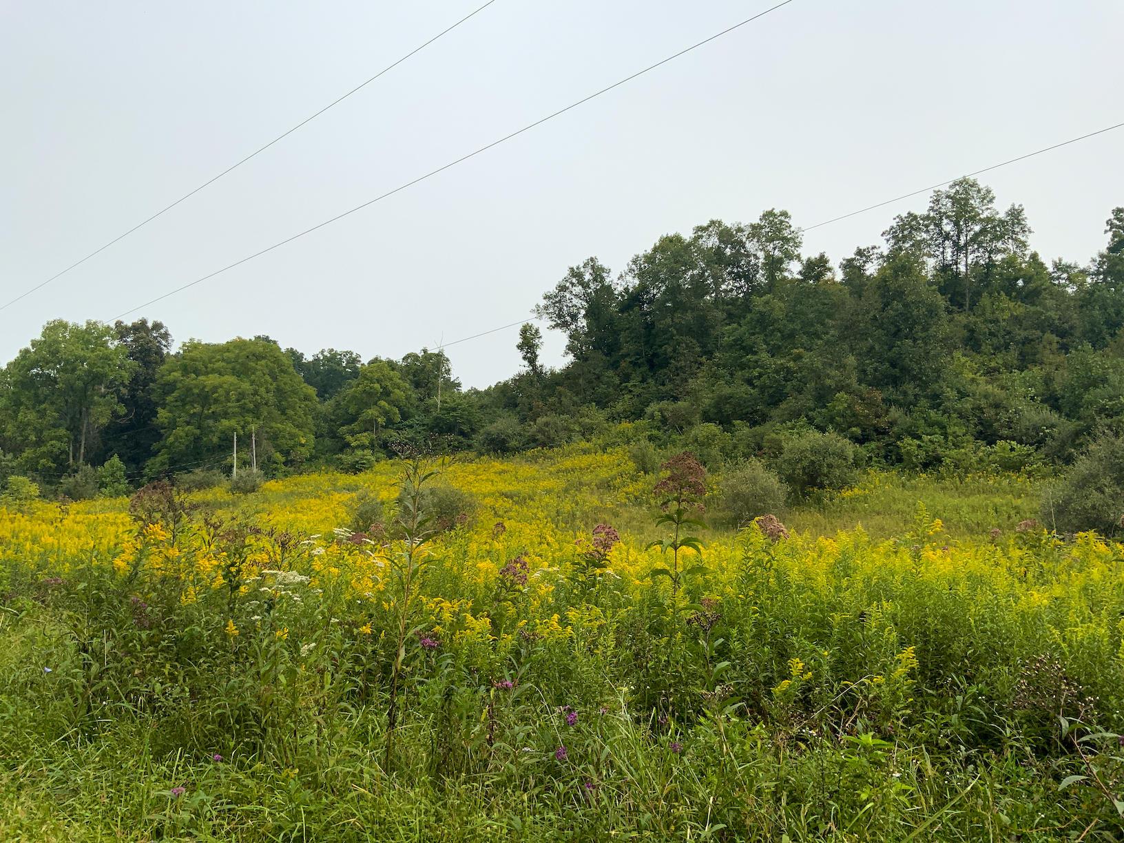 0 East Side Hysell Run Road Pomeroy, OH 45769 - Photo 2 of 33