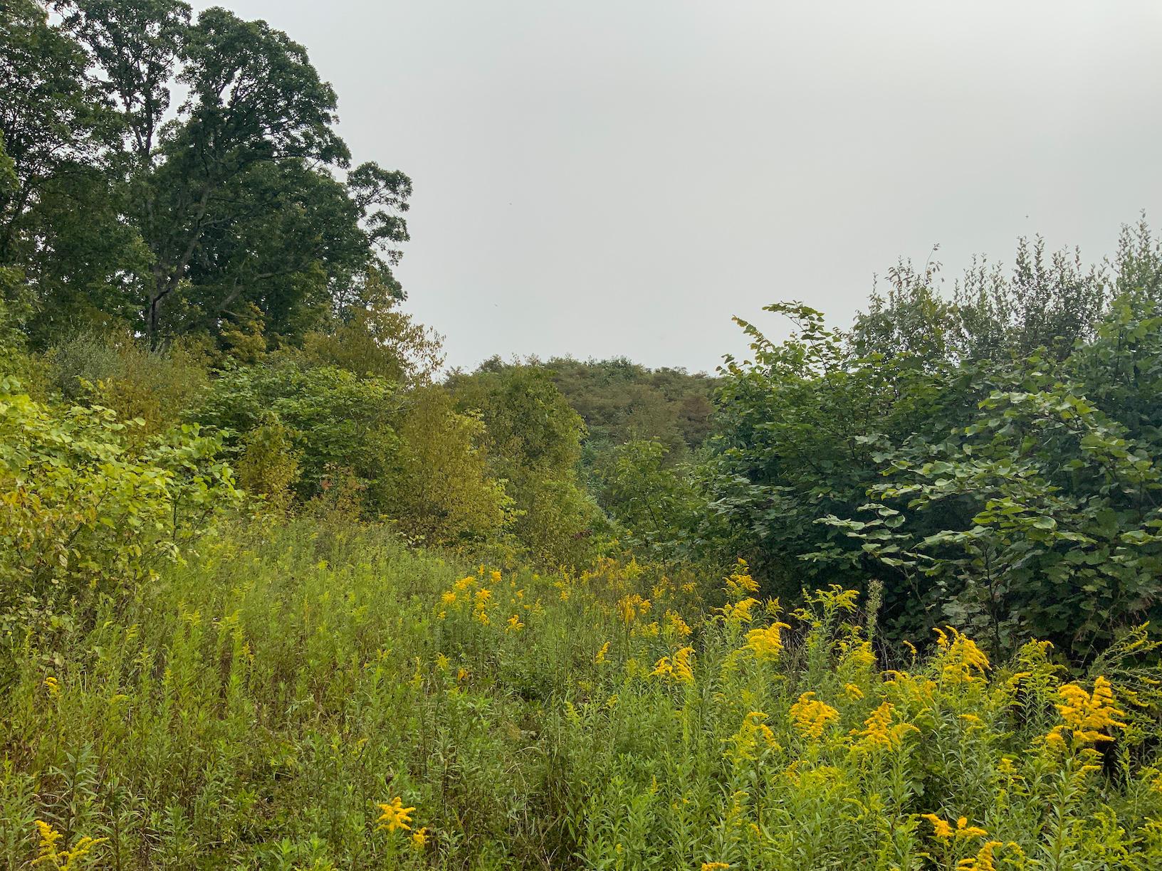 0 East Side Hysell Run Road Pomeroy, OH 45769 - Photo 23 of 33