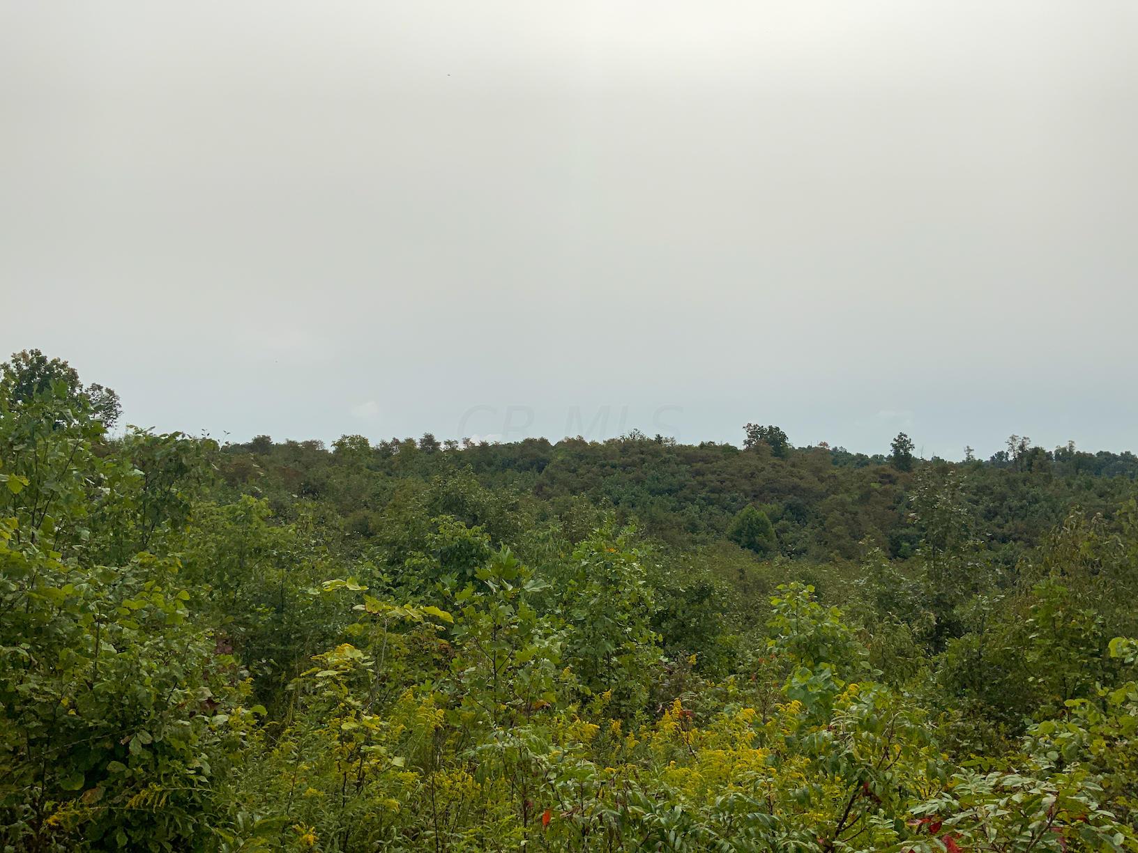 0 East Side Hysell Run Road Pomeroy, OH 45769 - Photo 24 of 33