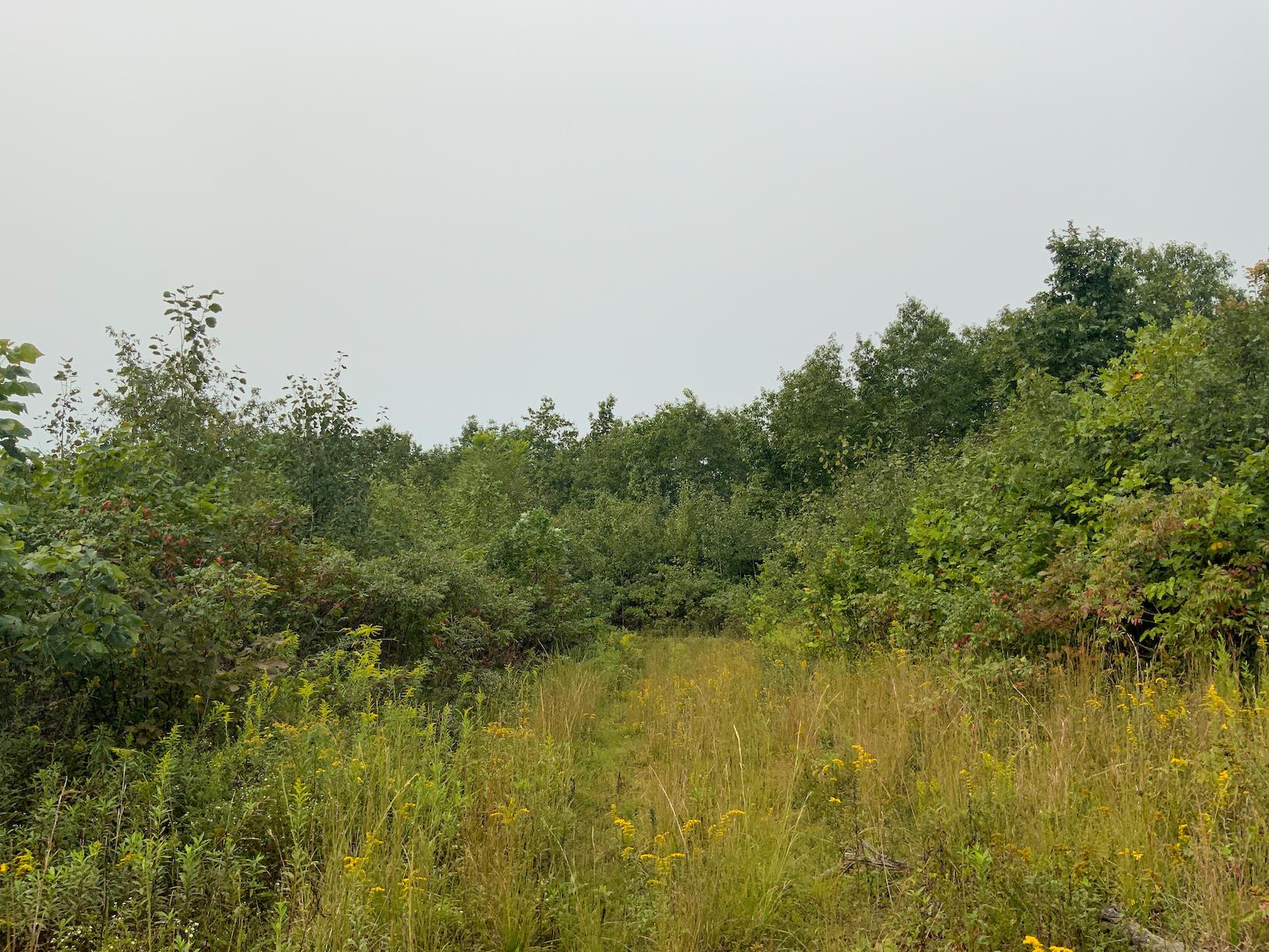 0 East Side Hysell Run Road Pomeroy, OH 45769 - Photo 27 of 33