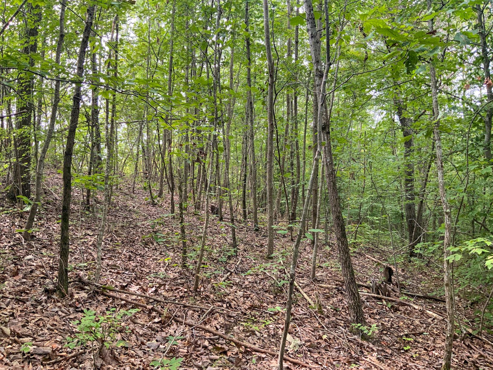 0 East Side Hysell Run Road Pomeroy, OH 45769 - Photo 29 of 33