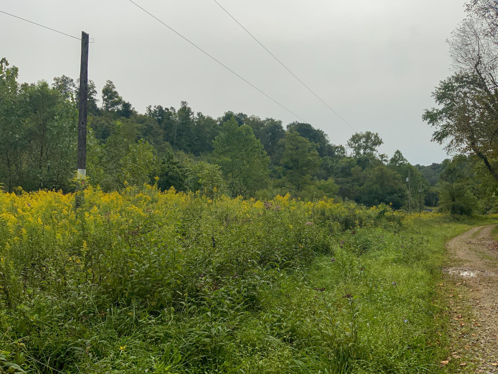 0 East Side Hysell Run Road Pomeroy, OH 45769 - Photo 3 of 33