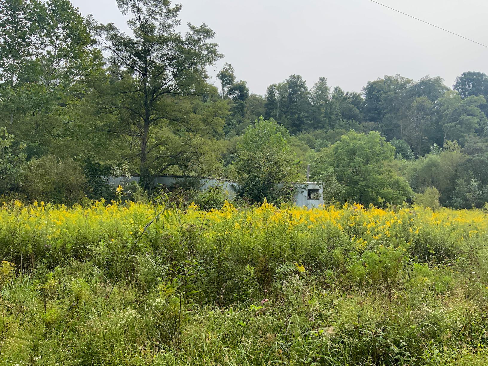 0 East Side Hysell Run Road Pomeroy, OH 45769 - Photo 4 of 33